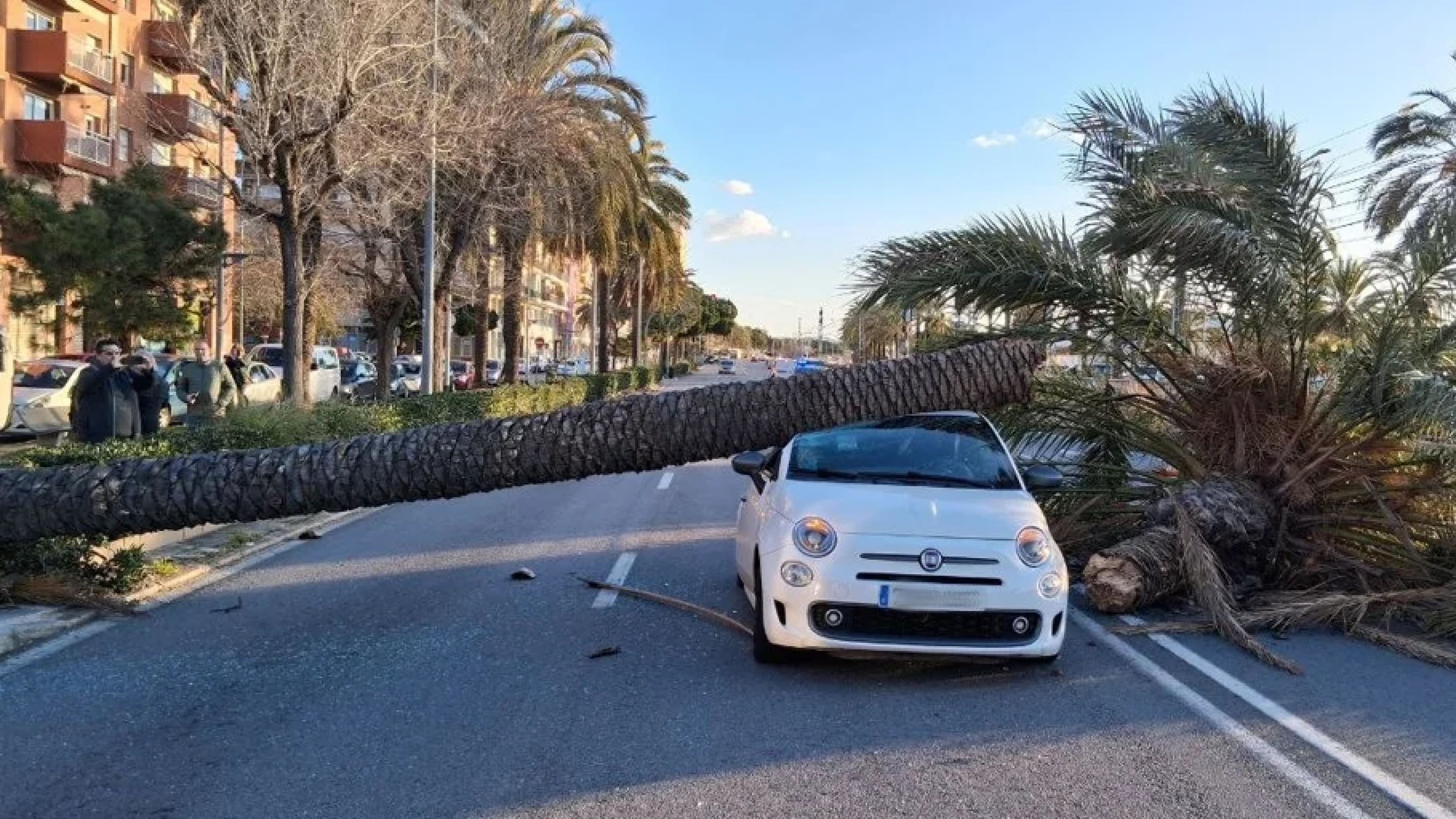 El Govern defiende la alerta masiva por el viento mientras remiten las fuertes rachas en Catalunya: "Era necesario"