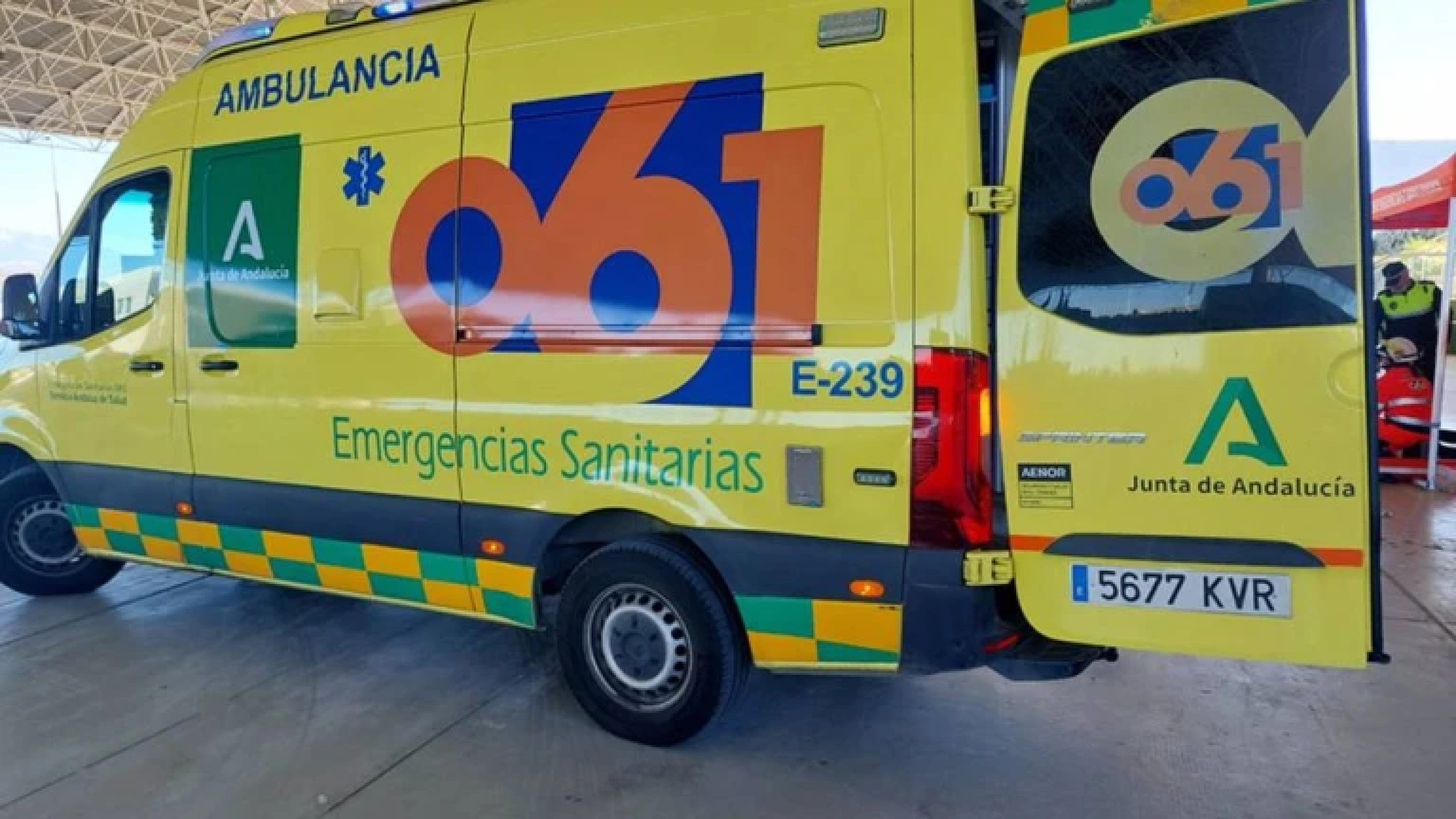 Cae una palmera sobre un coche en la Avenida Kansas City y atrapa a una mujer