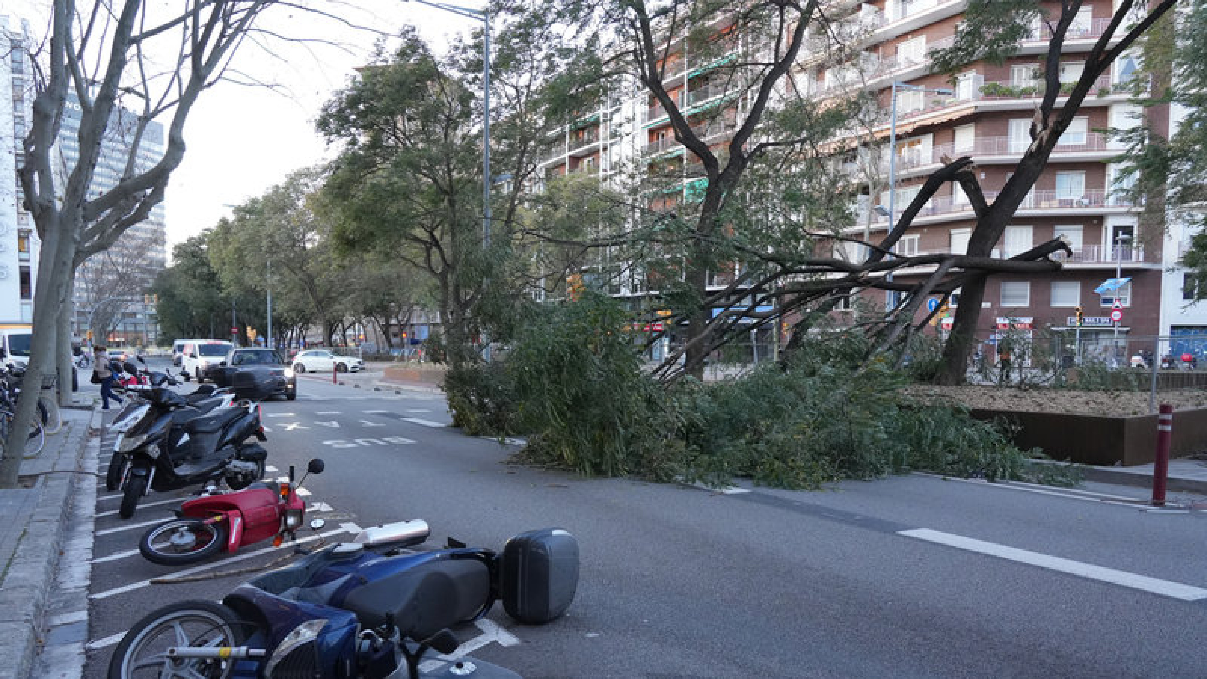 El Govern levanta la restricción a la movilidad por el viento pero mantiene la alerta y defiende su gestión
