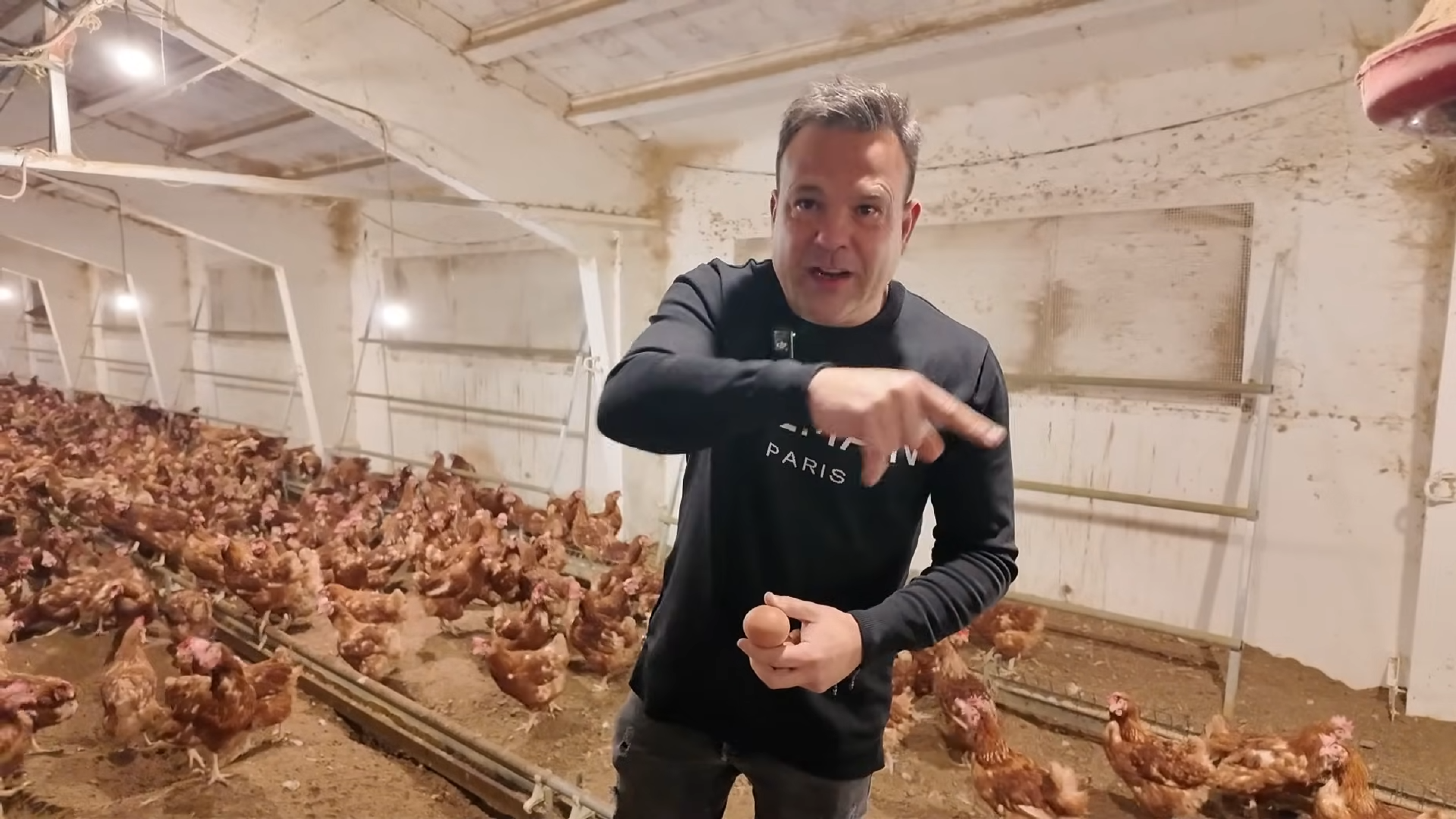 El nuevo negocio de José Elías son 6.000 gallinas: "Ponen un huevo cada 28 horas, es imposible que pongan dos al día, ninguna raza"