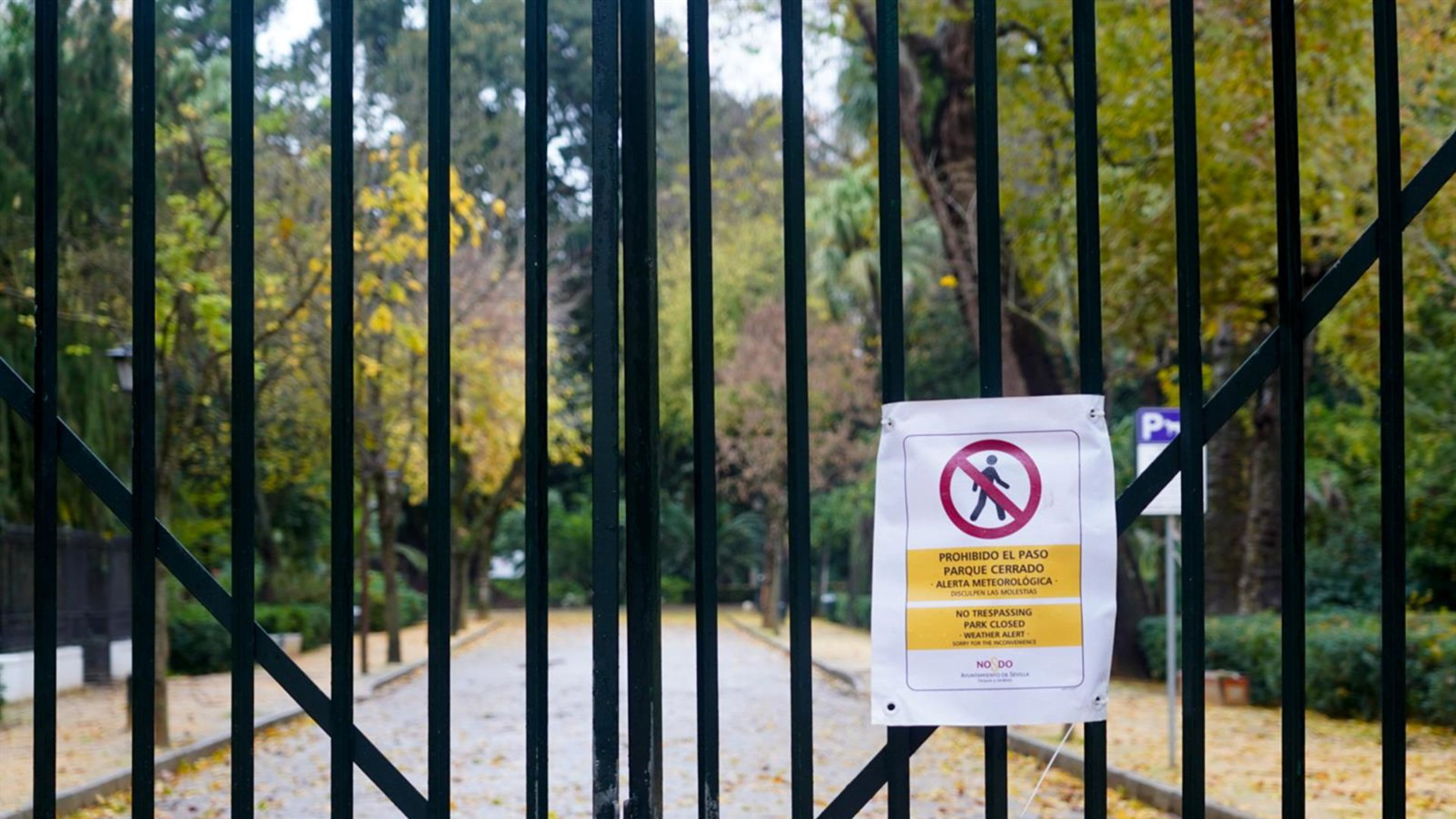 Sevilla en preemergencia por la borrasca 'Oriana'