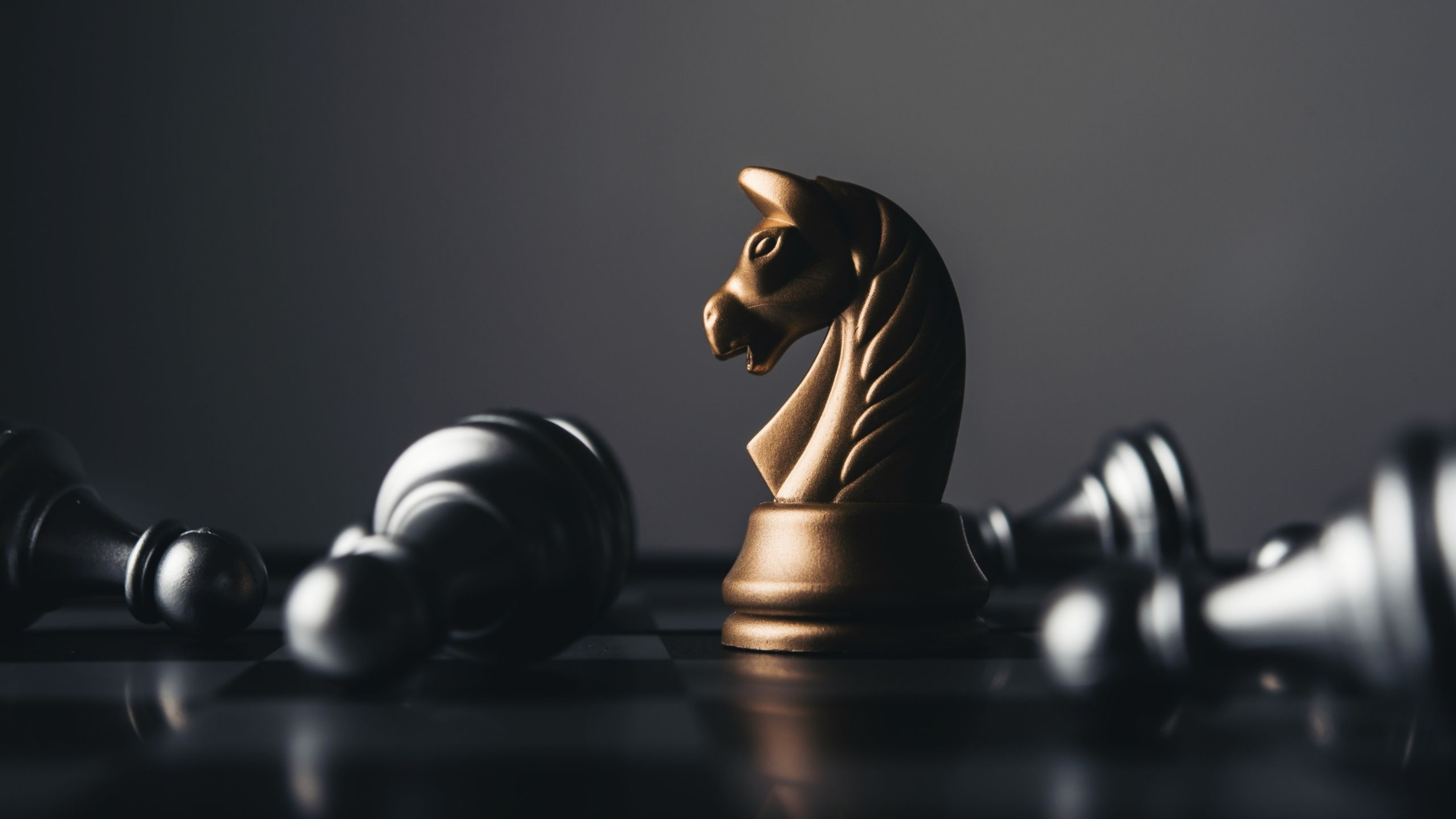 El ajedrez internacional toma Pamplona: casi 100 jugadores de 13 países se citan en un torneo histórico