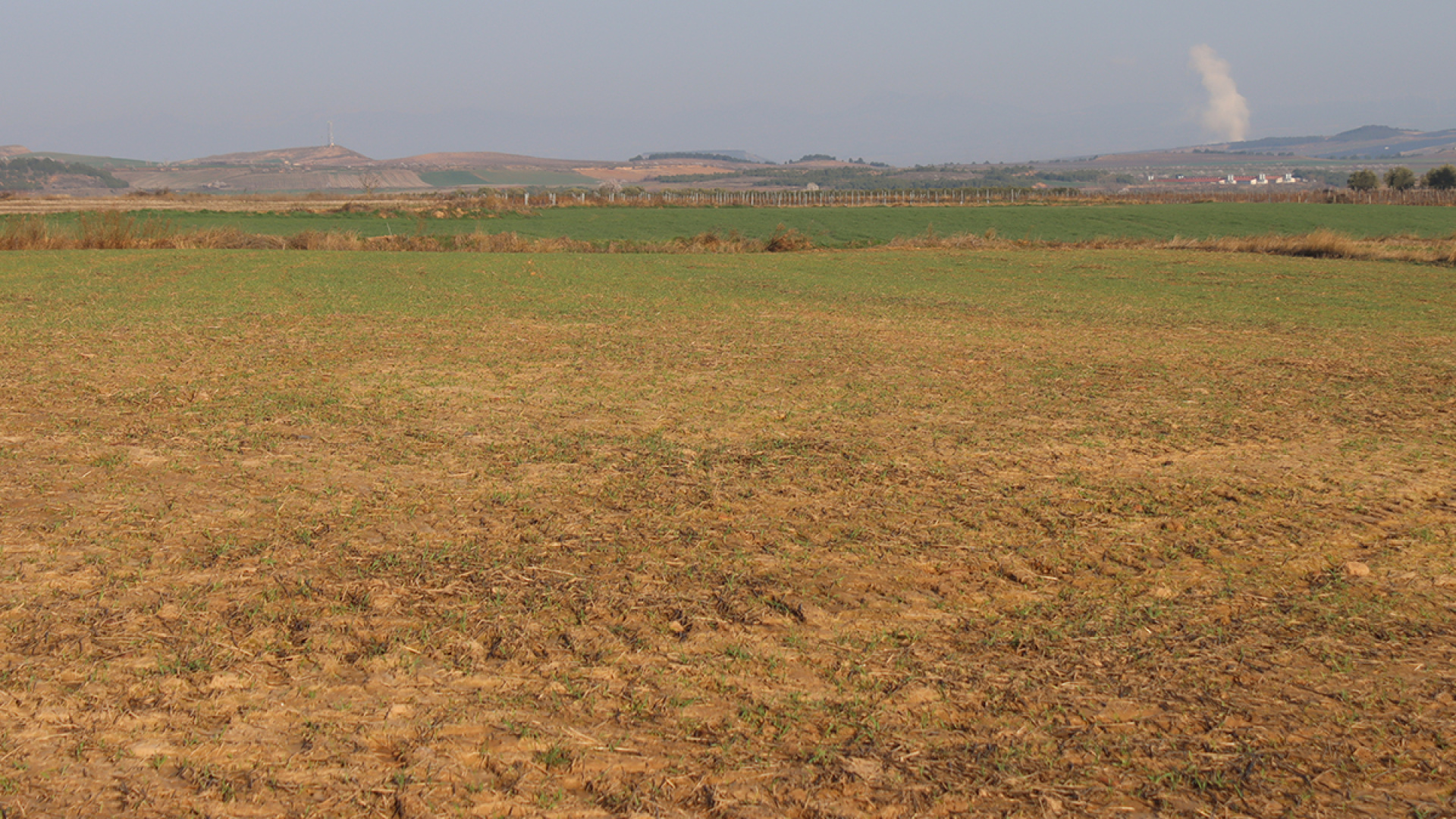 El campo de Castilla y León pide una tregua y exige a la Junta ampliar el plazo para solicitar la PAC