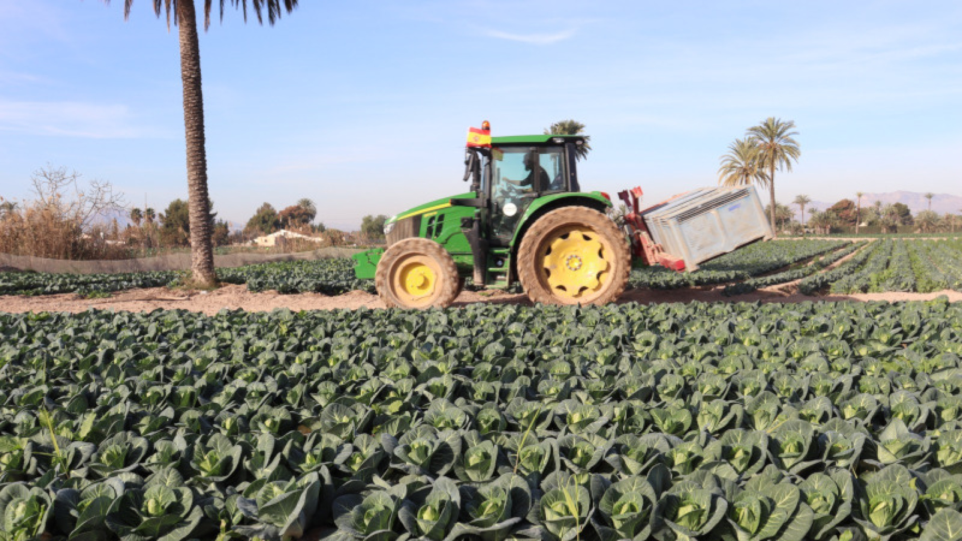 El campo estalla contra la UE tras su acuerdo con Australia: 