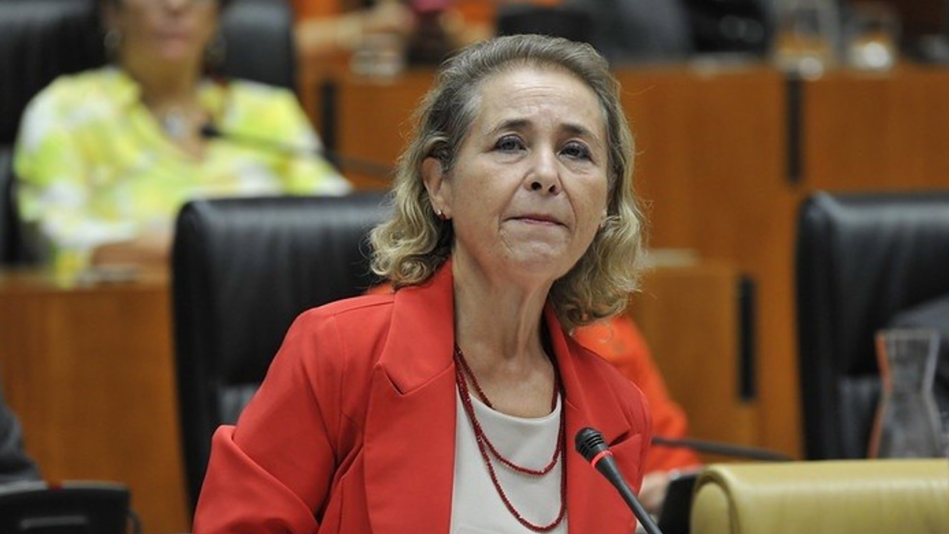 Mercedes Vaquera, sobre la investigación en el colegio de Cerro Gordo: 