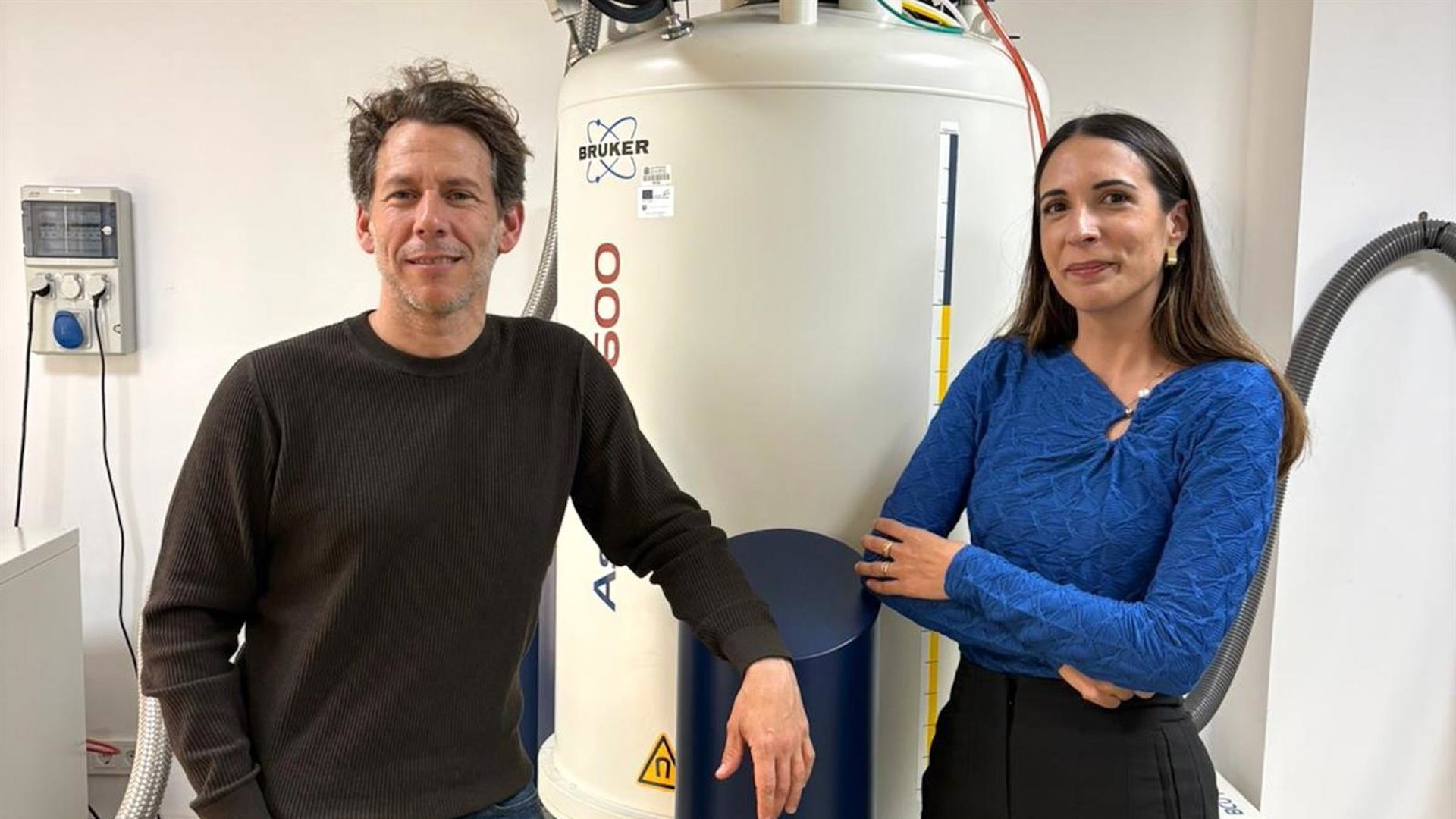 Descubren en los pétalos de rosa un inesperado aliado contra el cáncer de mama