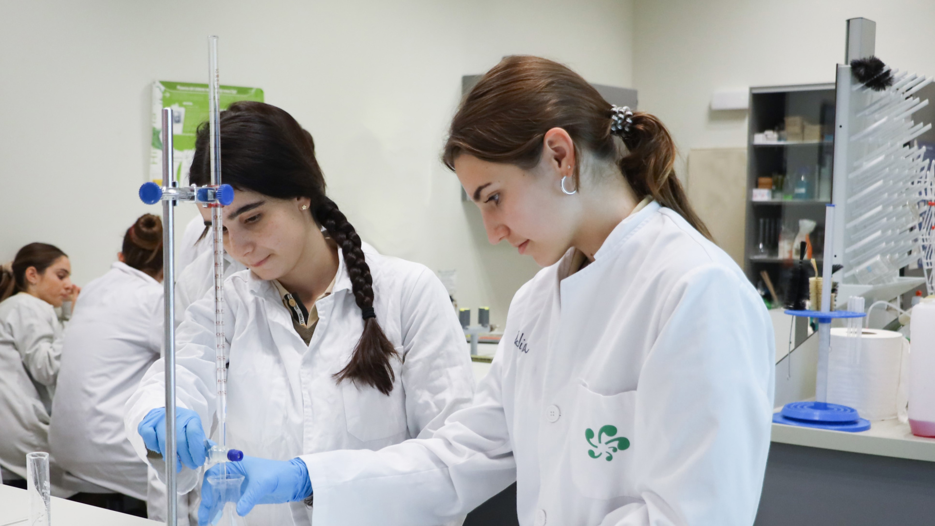 Liderazgo y visión global: las claves del éxito de Mas Camarena en la evaluación del Bachillerato Internacional