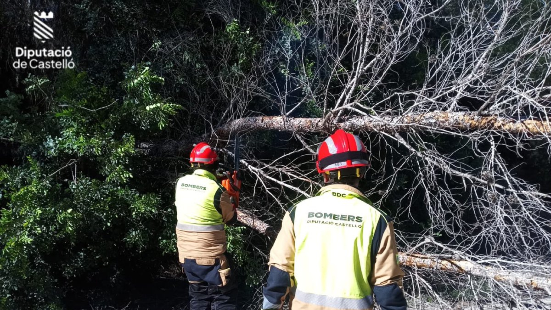 El viento será el gran protagonista este fin de semana en Castellón: rachas de más de 100 km/h