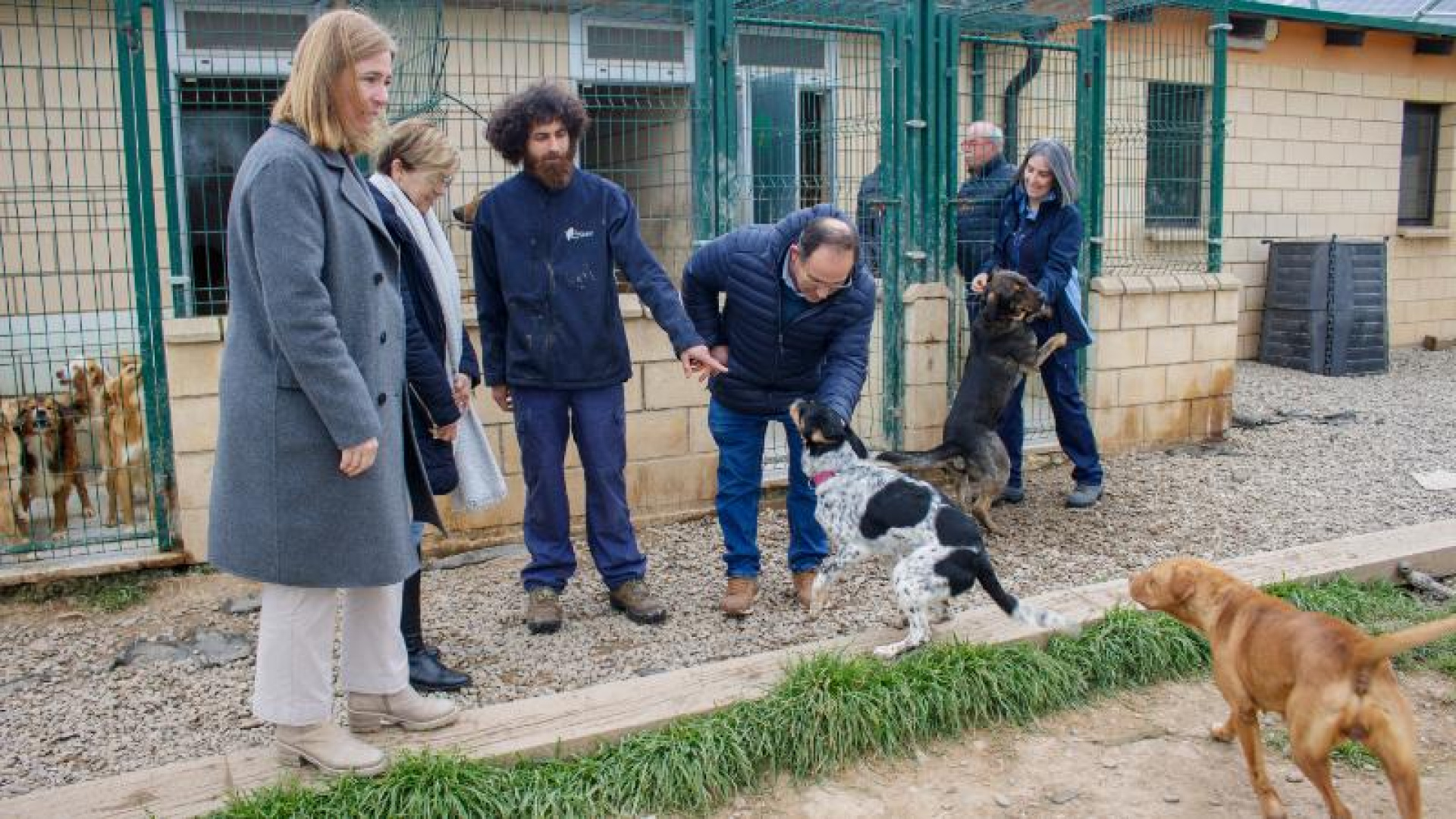 La Rioja refuerza su lucha contra el abandono animal con un servicio de atención 24 horas: El Centro de Acogida de Animales de La Rioja de Cañas cuida de 55 animales que esperan una familia