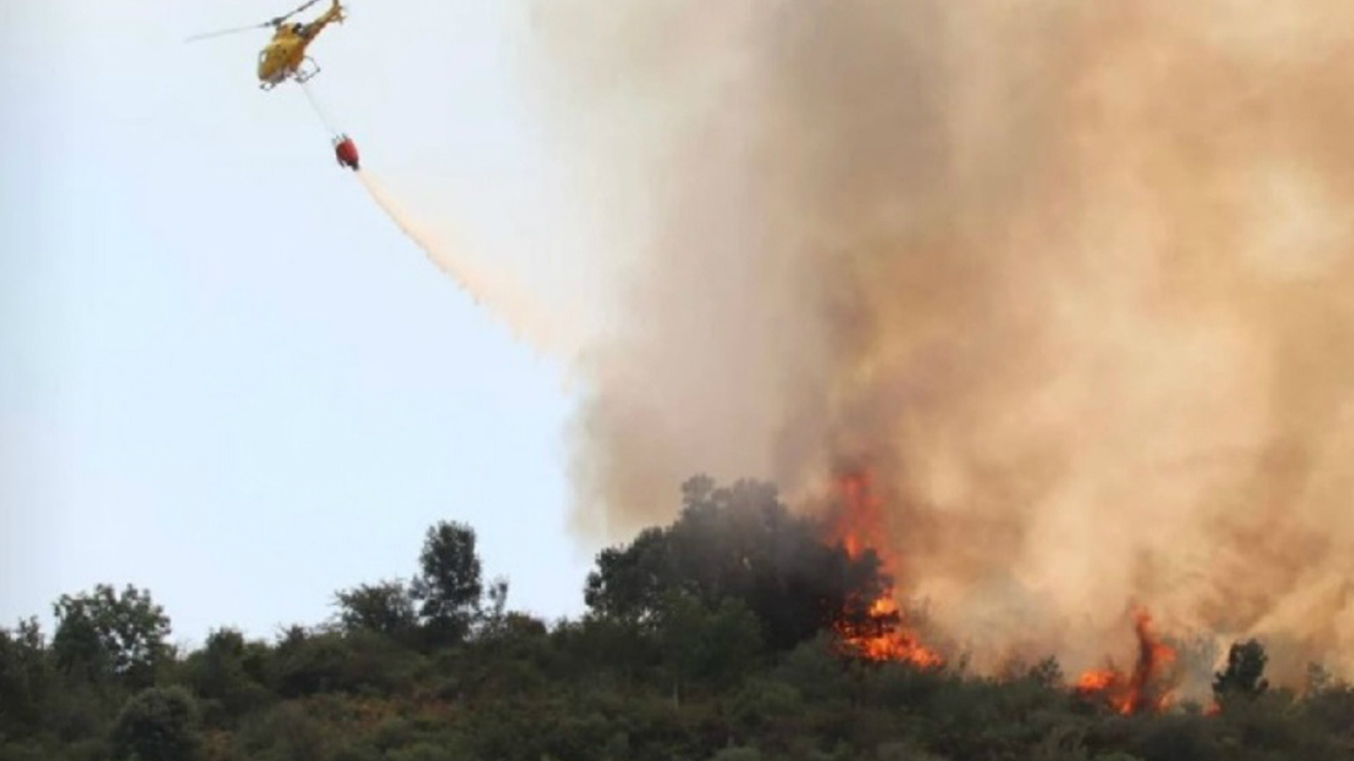 El viento complica la extinción del incendio forestal de Losar de la Vera, que sigue activo