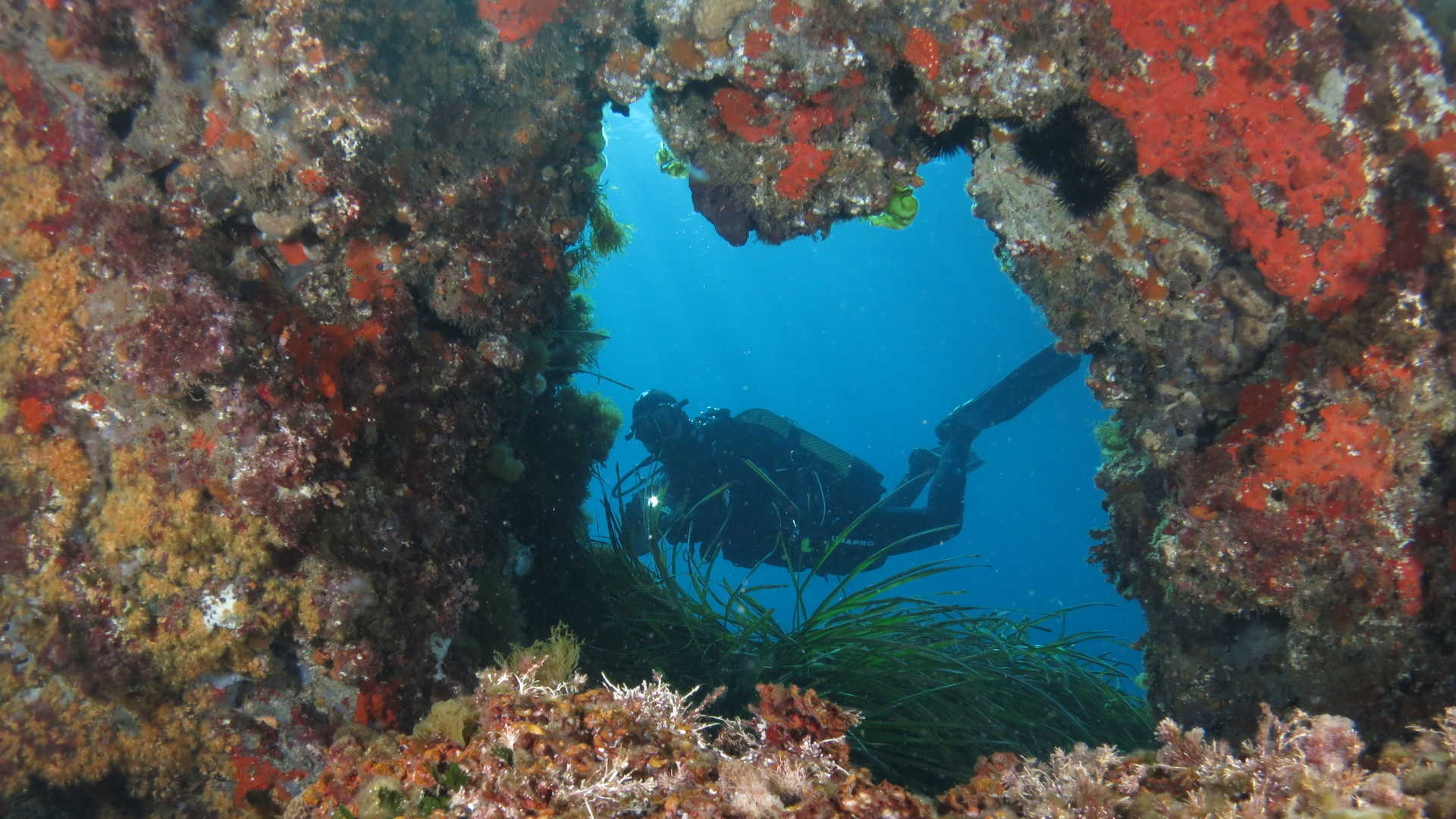 El 'milagro' de Tabarca cumple 40 años: así protege el mar la primera reserva marina de España