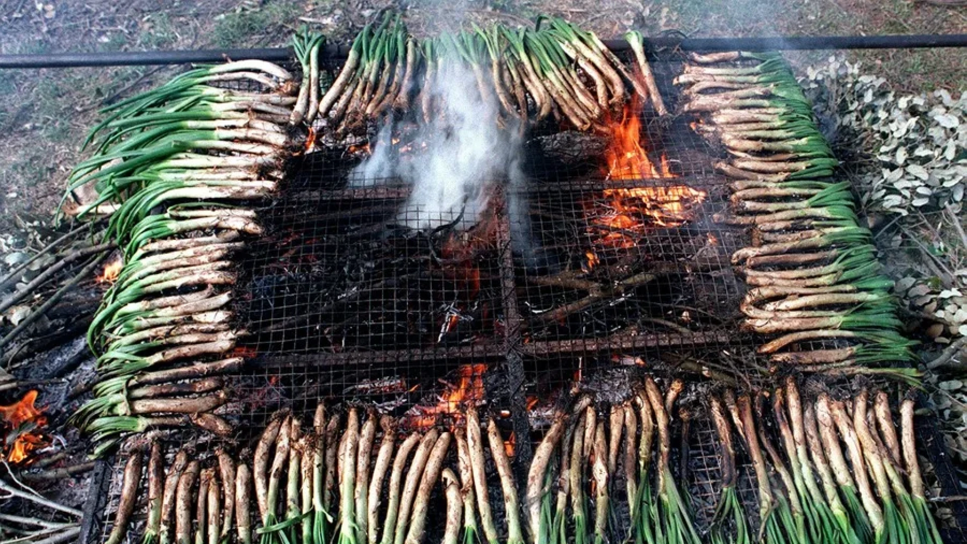 Madrid busca la fórmula para cultivar sus propios calçots y acabar con la escasez