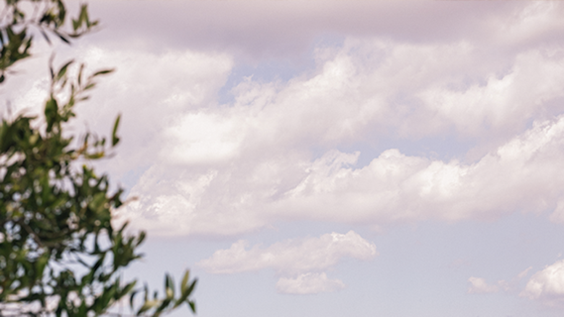 Juvé & Camps abandona la DO Cava y agudiza la crisis de unidad en un sector que ha bajado un 10% su facturación global