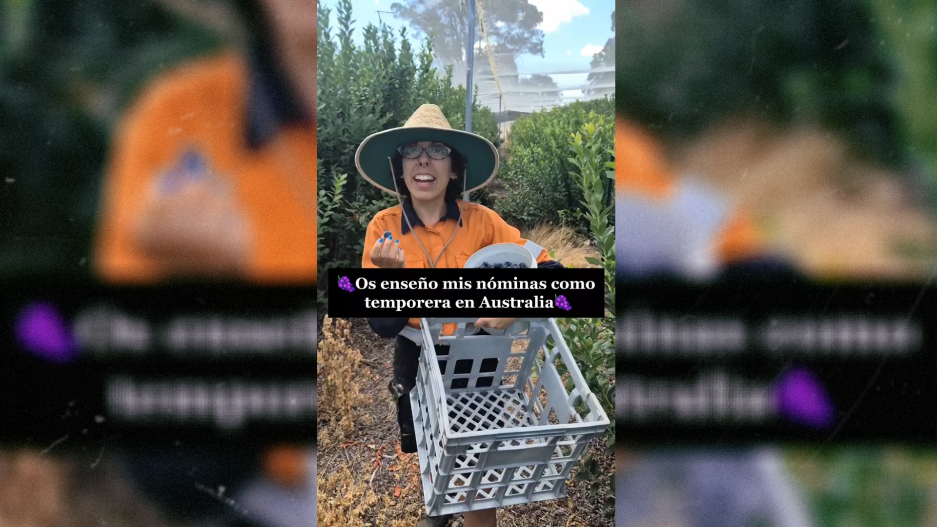 Nerea, recolectora de arándanos: 