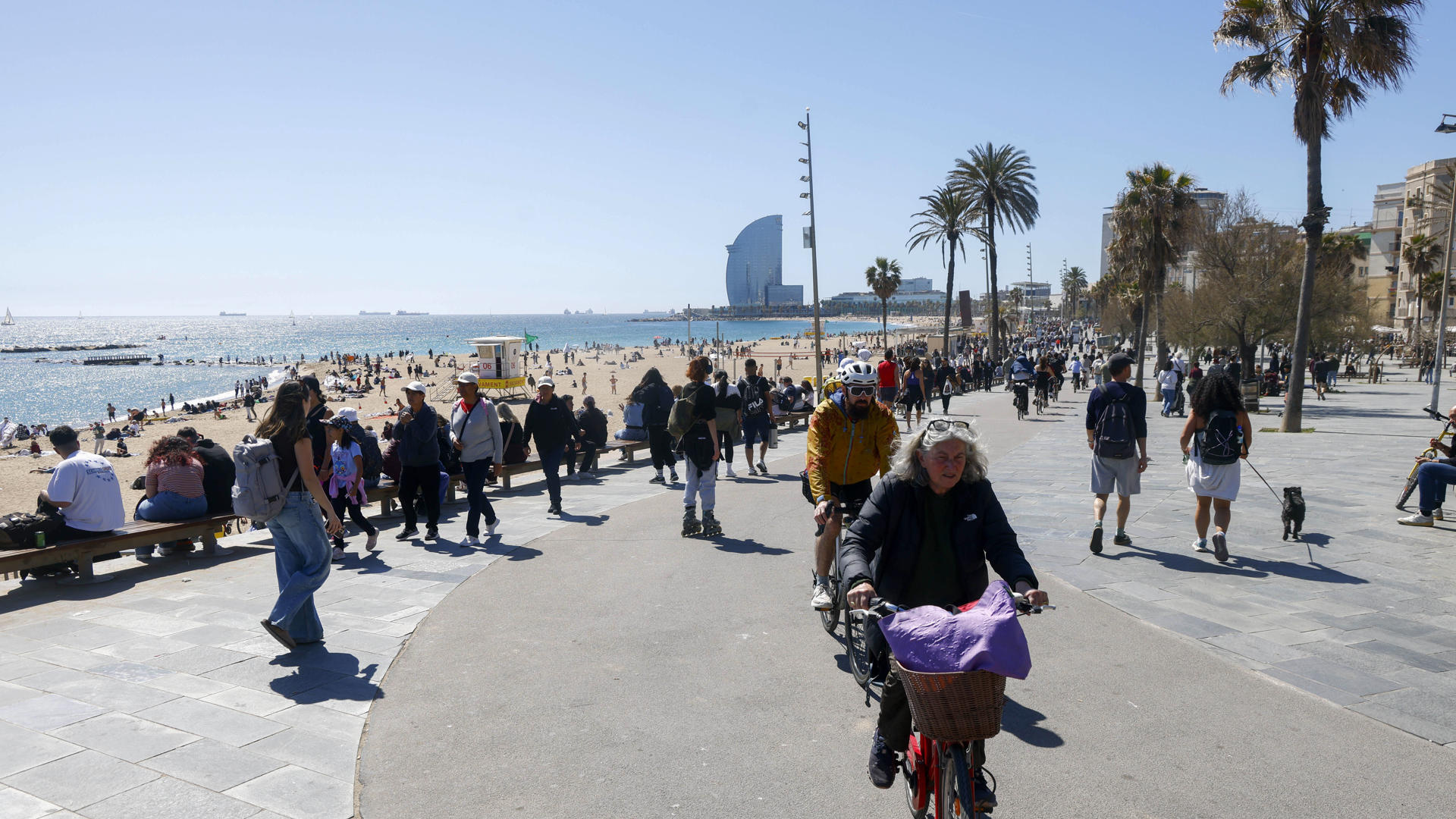 Jorge Rey, experto meteorólogo: 