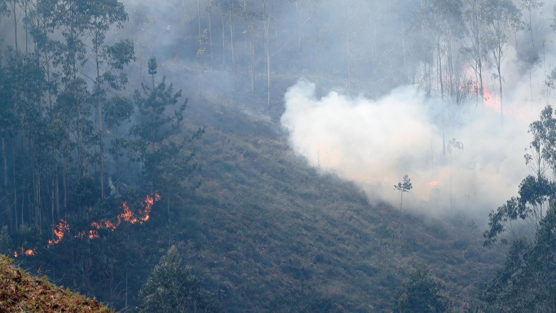 Asturias supera la treintena de incendios y el riesgo de más fuegos forestales es extremo en casi toda la comunidad
