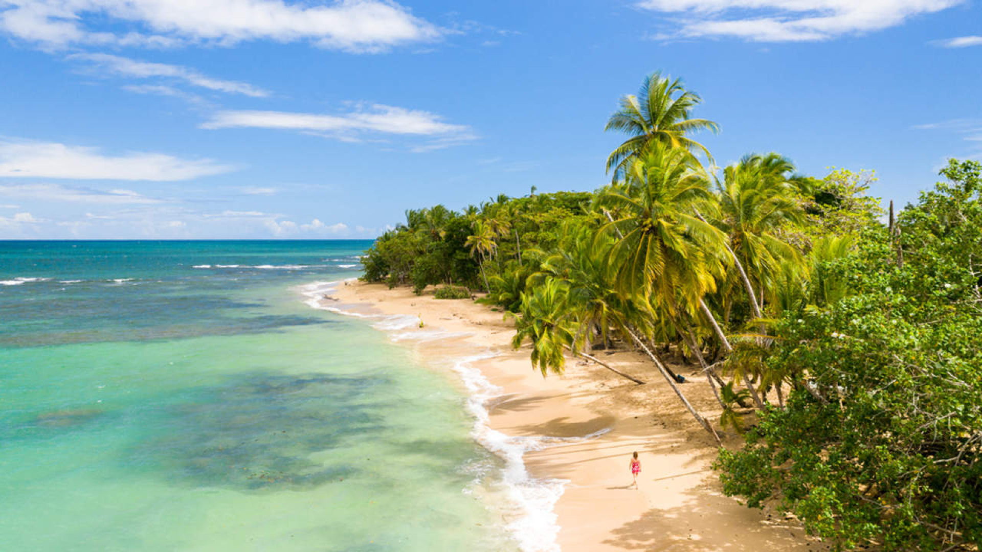 Jose Cordero, responsable de la agencia Pangea de Vitoria: 