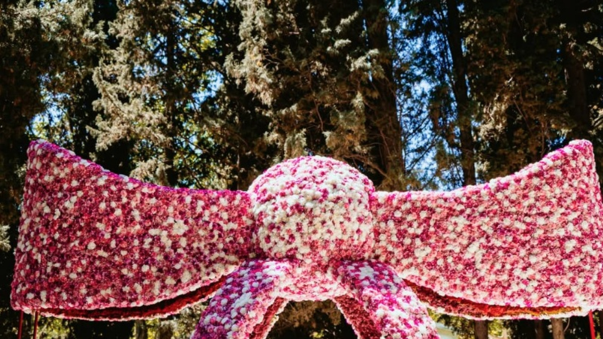 Zaragoza Florece se expande con un Jardín Botánico renovado y nuevas zonas de ocio