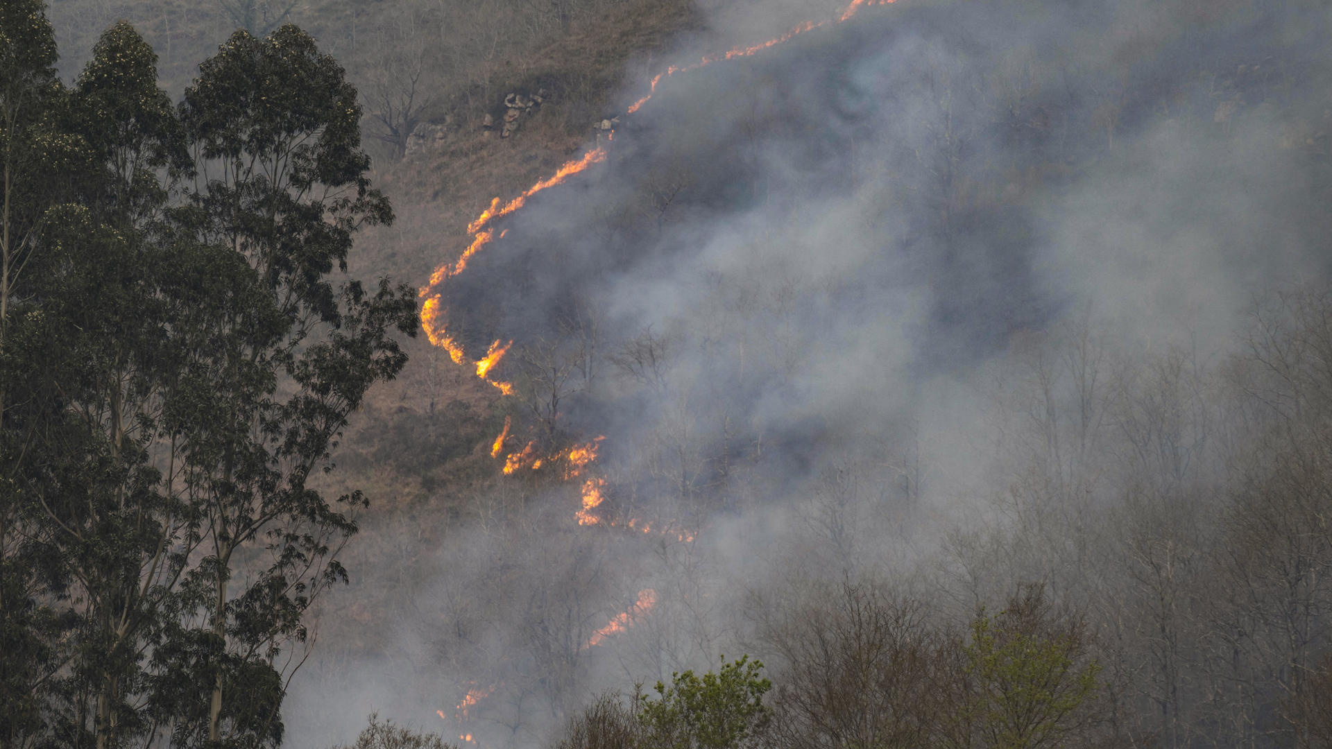 Un incendio corta el tren entre Palencia y Cantabria, que tiene 23 fuegos activos
