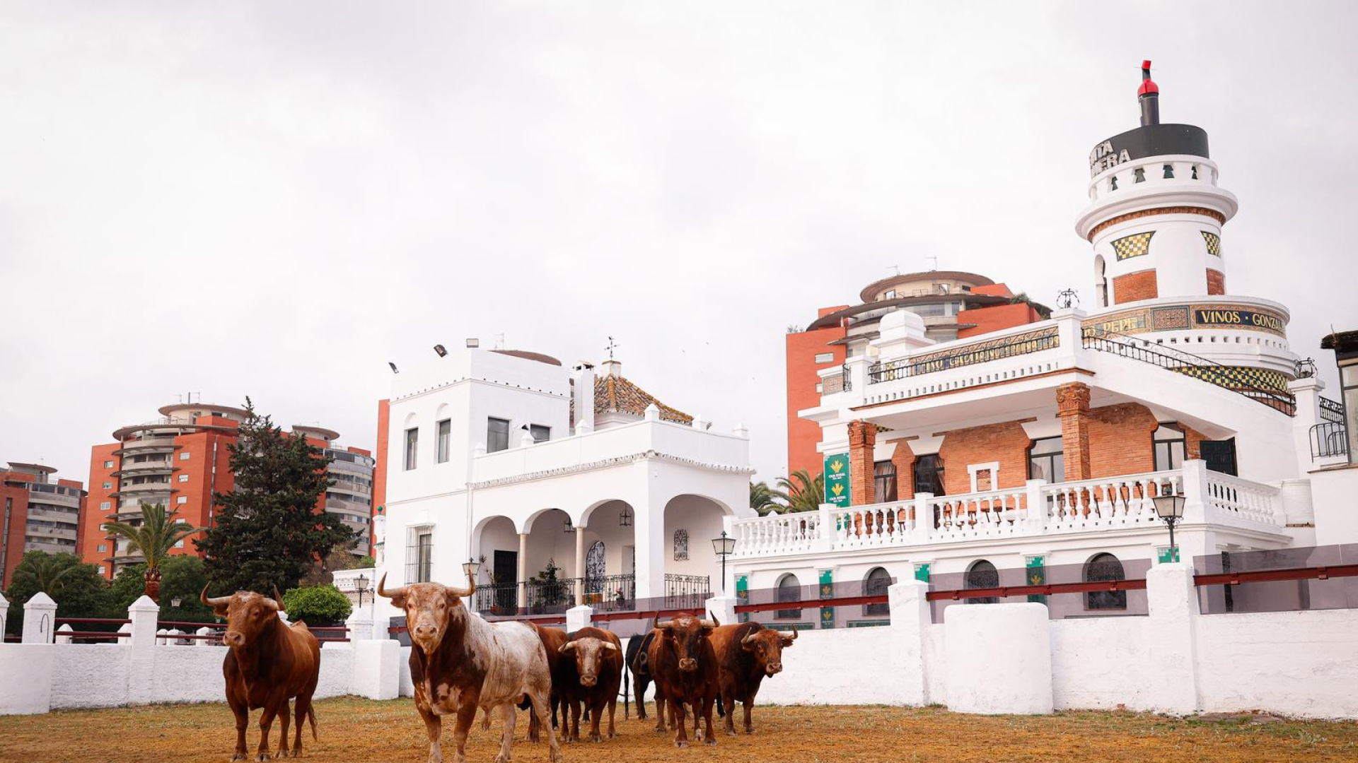 Sevilla recupera una tradición histórica: los toros de la Feria vuelven a la Venta de Antequera