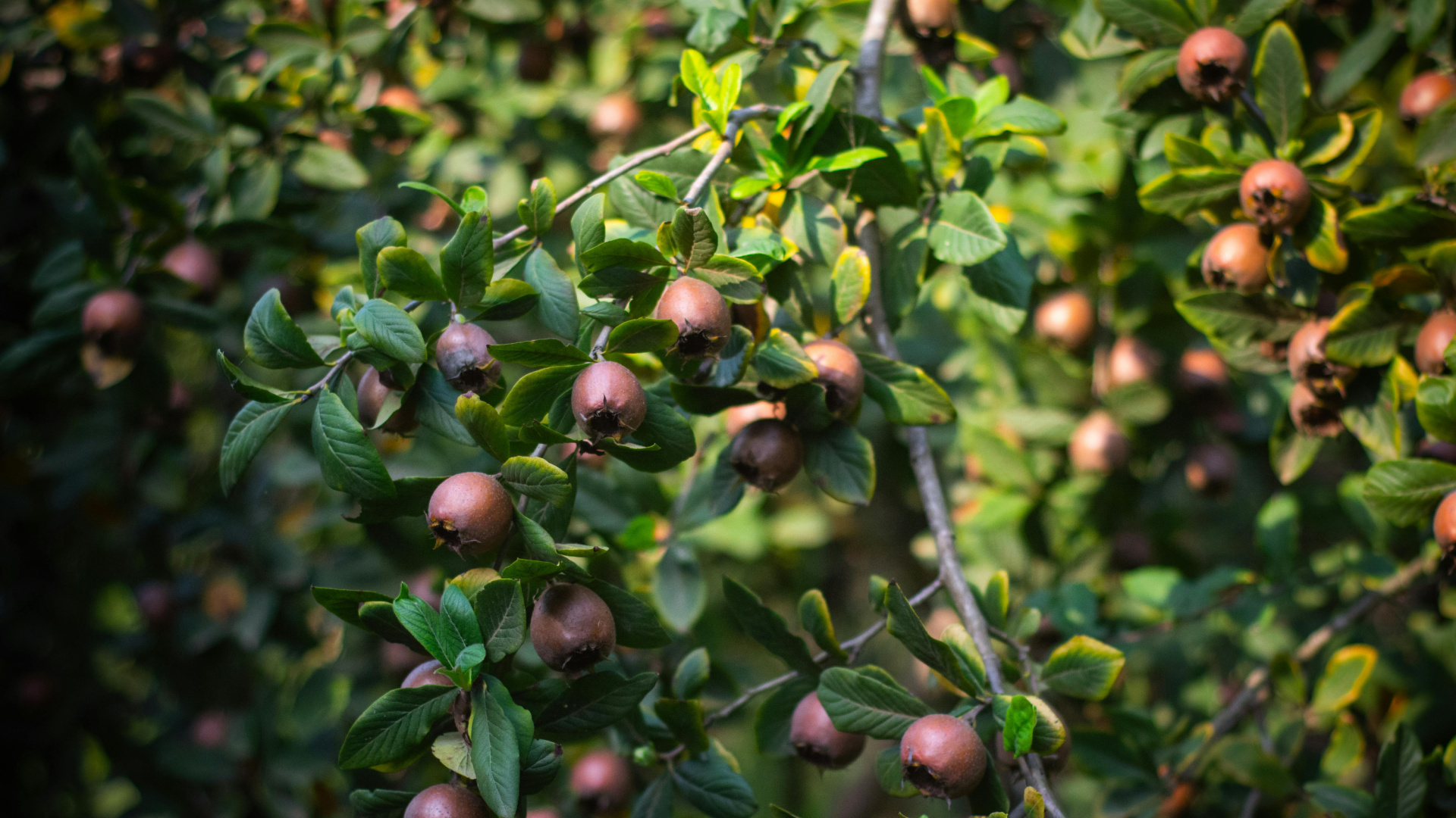 Los mejores productos de temporada durante la primavera y sus beneficios