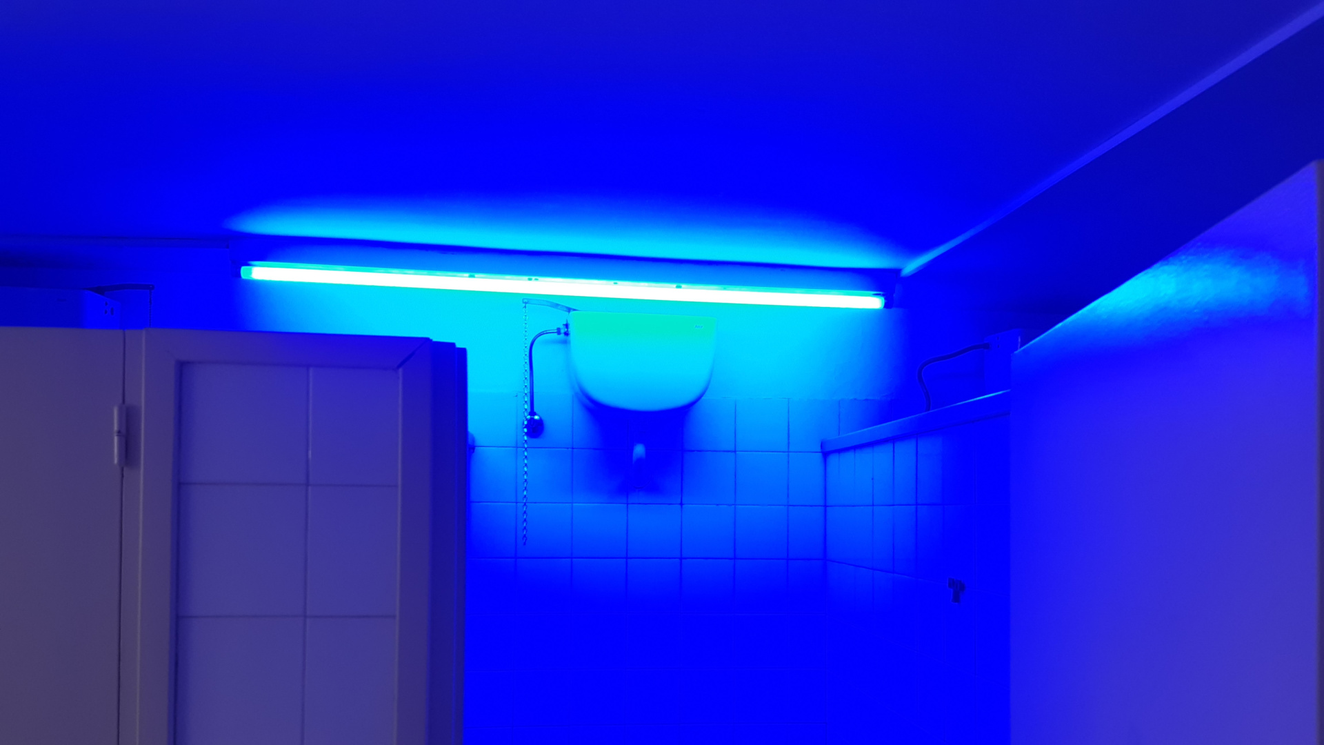 La Universitat de Lleida implanta fluorescentes azules en un lavabo para impedir a los toxicómanos encontrar sus venas para inyectarse