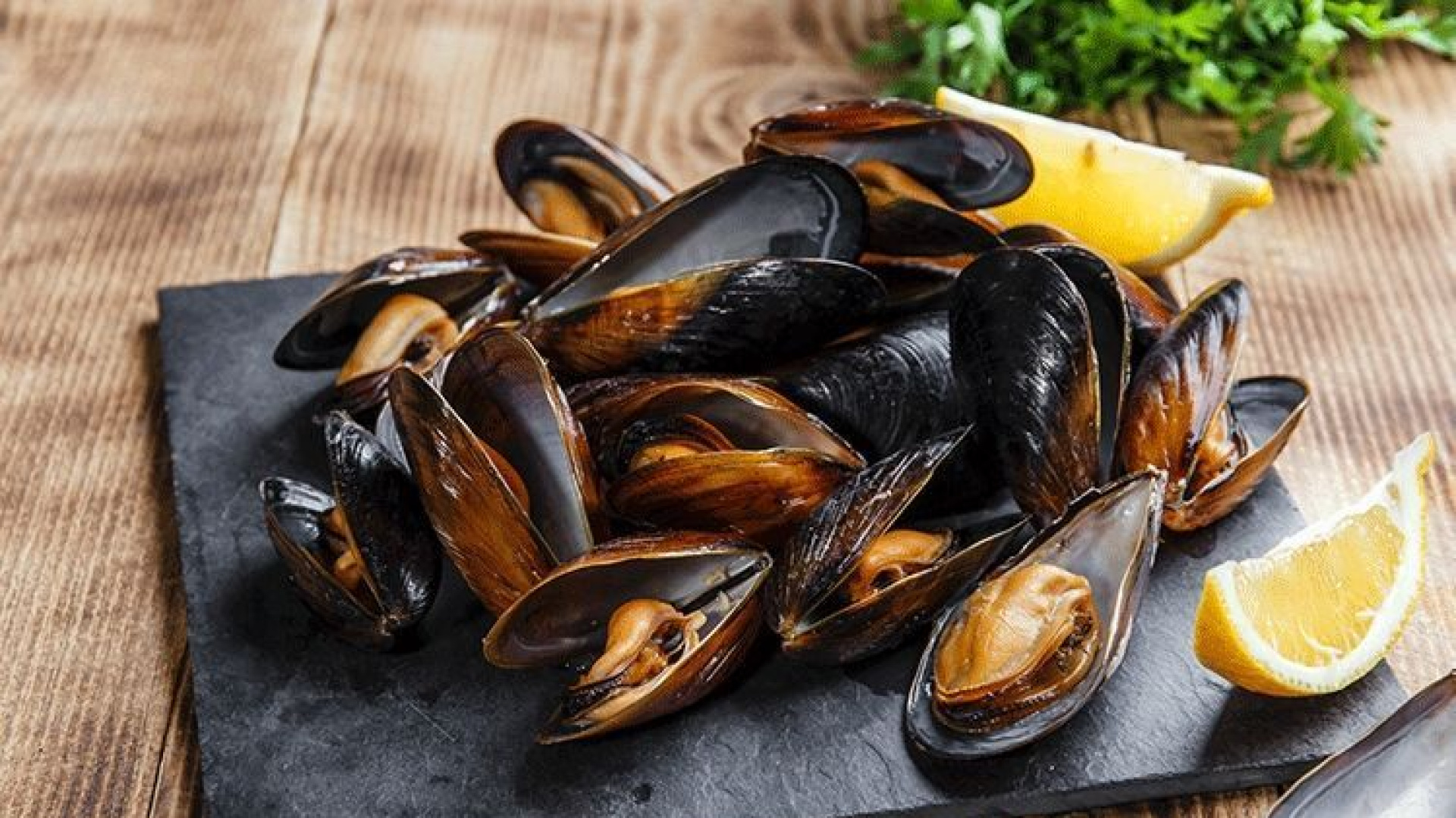 La clóchina valenciana inaugura su mejor temporada con una calidad y tamaño excelentes