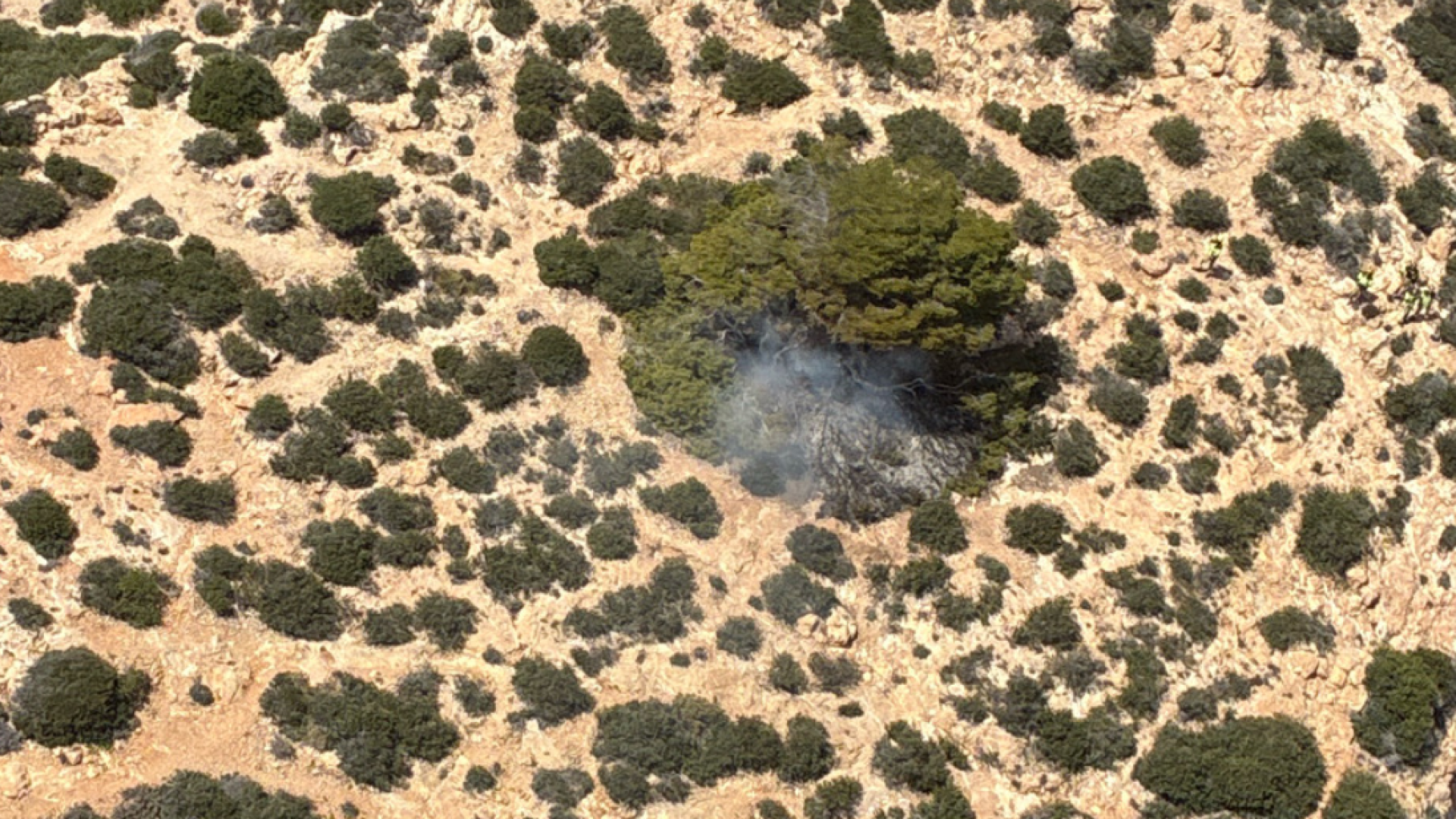 Sofocan un conato de incendio forestal en la Algameca de Cartagena