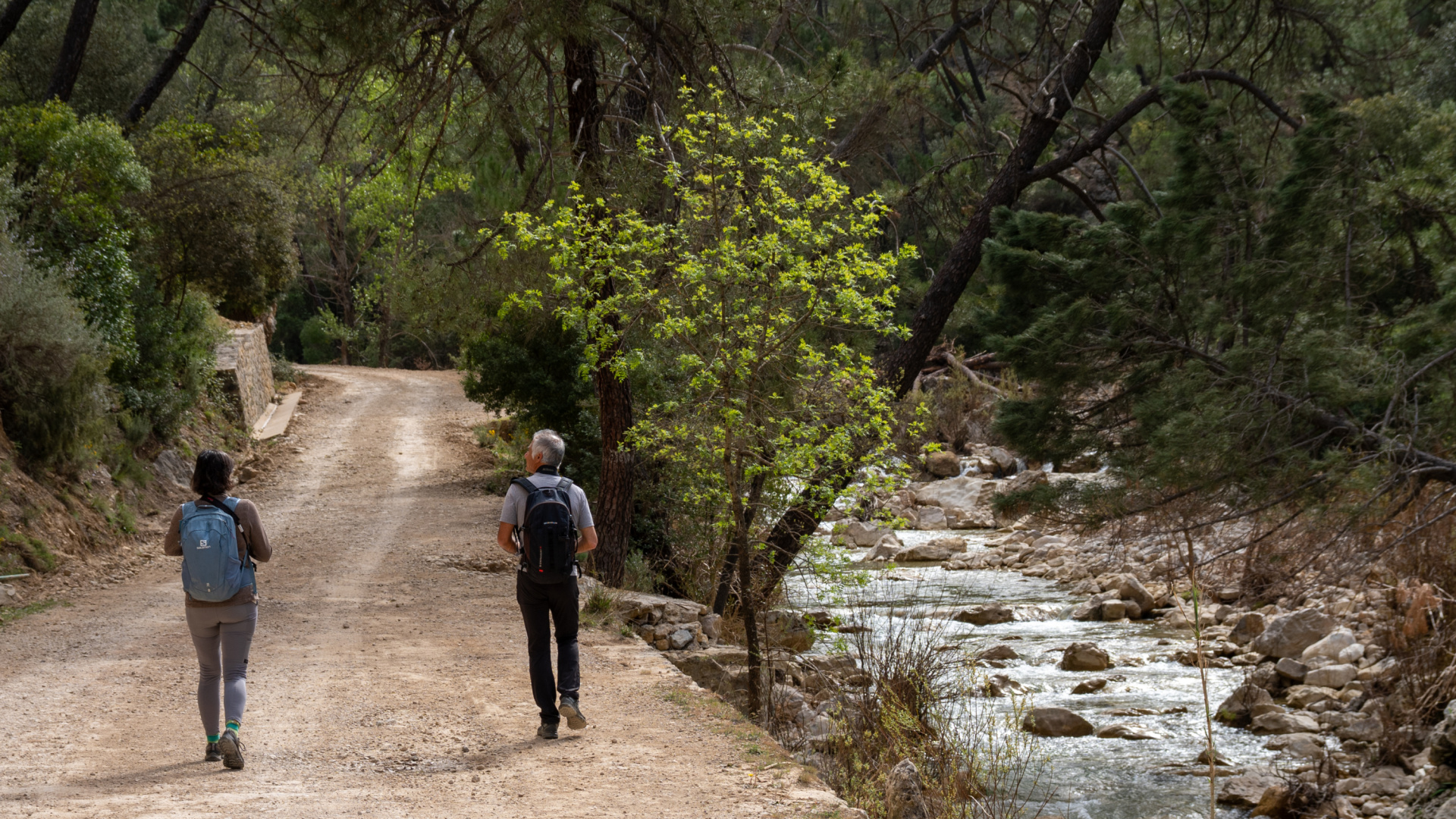 Ruta del río Borosa en Jaén: qué tramo está abierto y qué zonas siguen cerradas