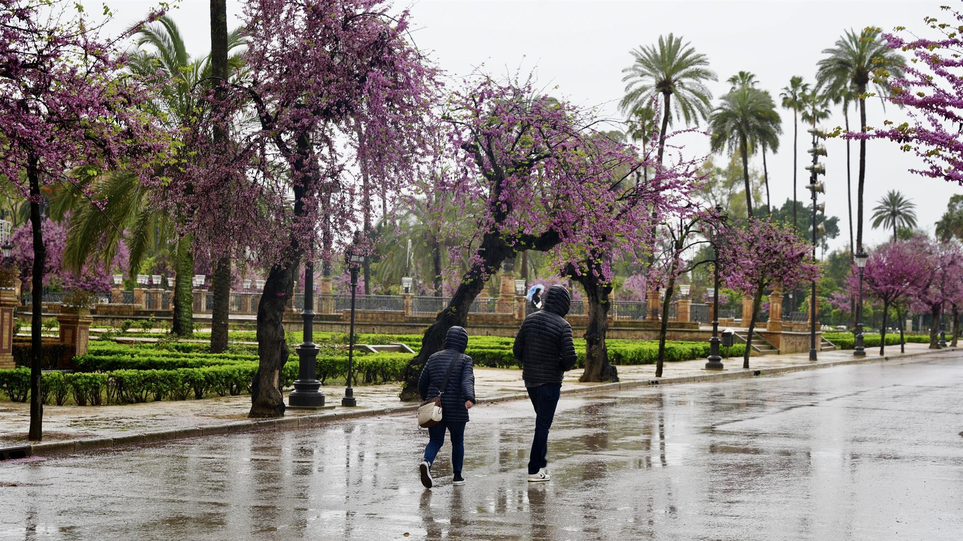 La Aemet activa el aviso amarillo por fuertes lluvias y granizo en cuatro provincias andaluzas