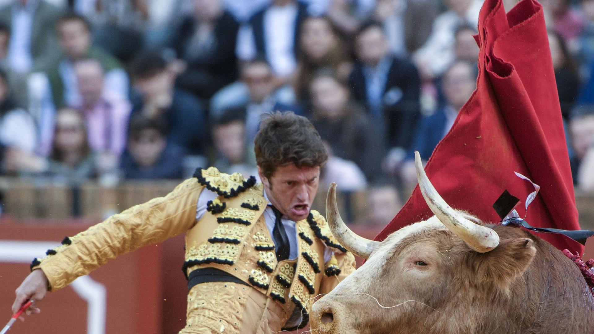Oreja para Lama de Góngora y vuelta al ruedo para Moral, ambas excesivas