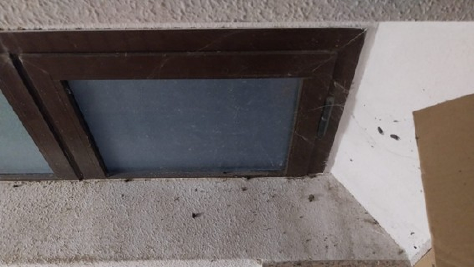 Denuncian cinco positivos por tuberculosis en el Instituto de Medicina Legal de Toledo: 