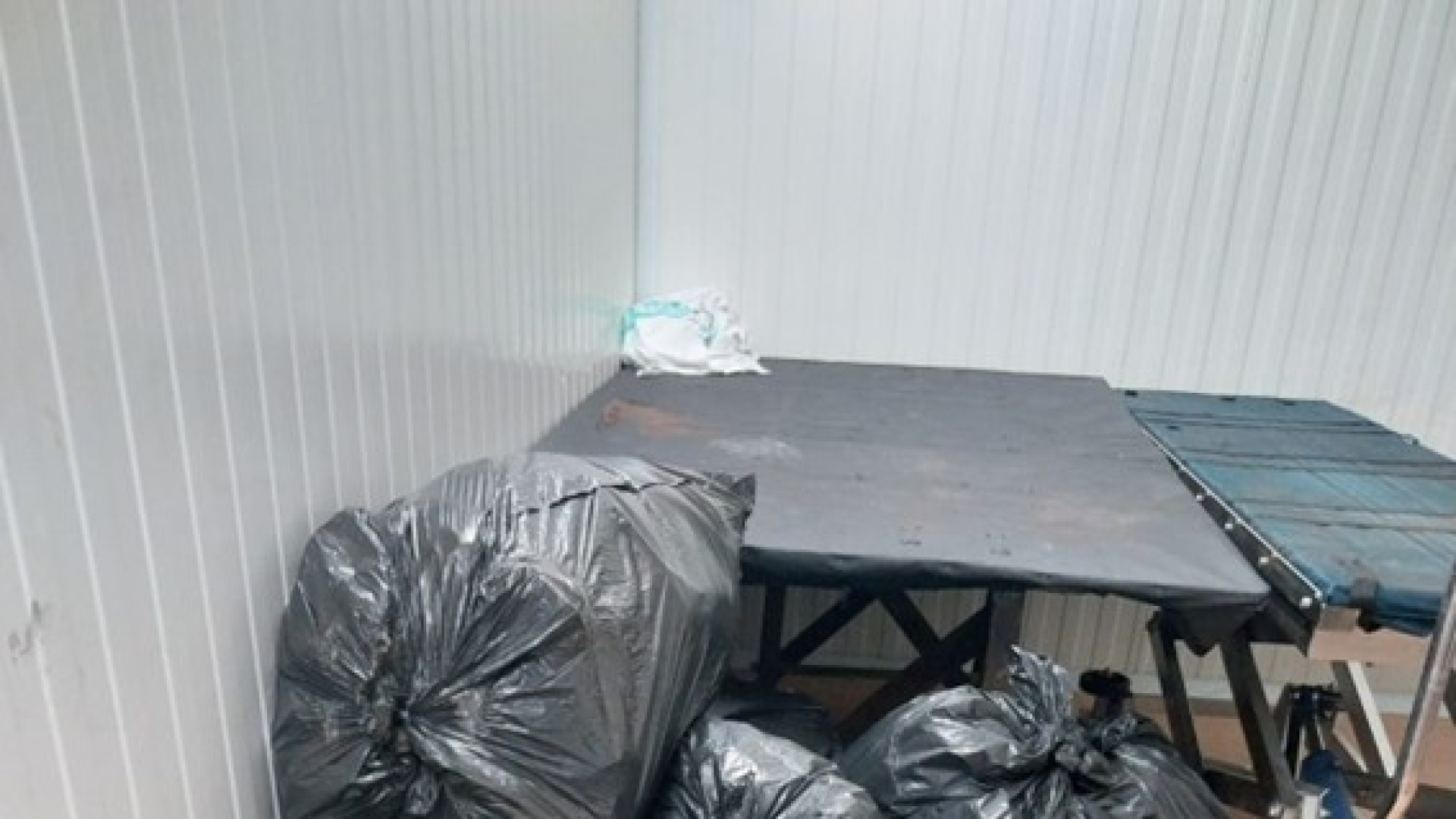 Carolina, afectada de tuberculosis del Instituto de Medicina Legal de Toledo: 