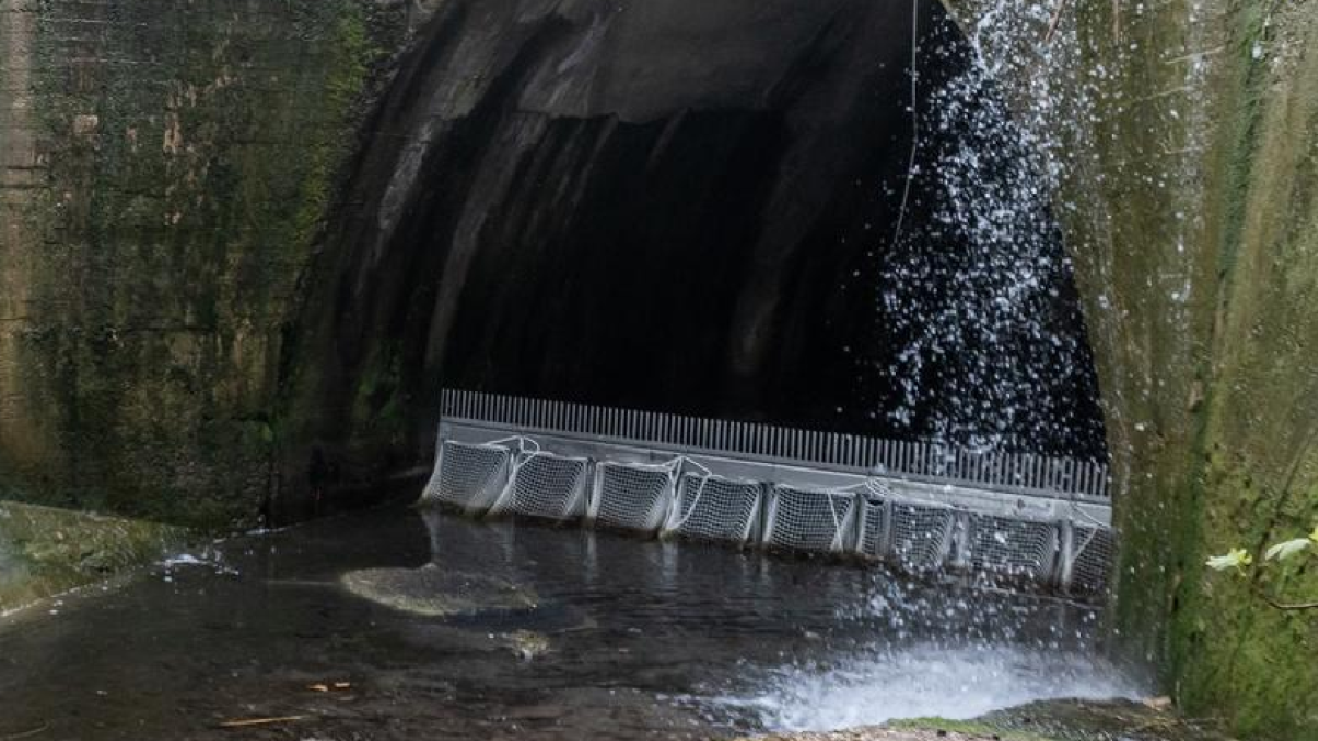Un peine y unas mallas para evitar que toallitas húmedas y otros residuos 'no biodegradables' desemboquen en el Henares