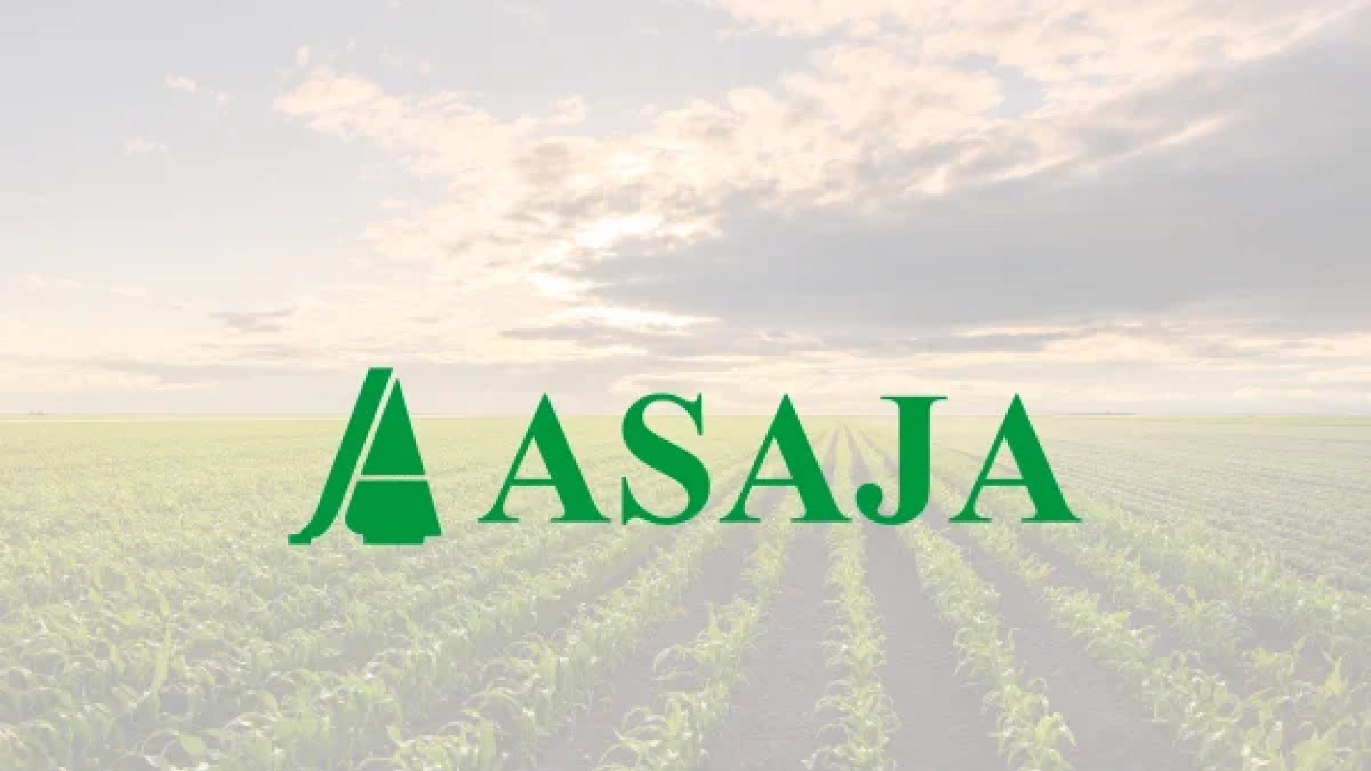 ASAJA celebra en Grazalema la feria agroalimentaria ‘Saborea el Campo’