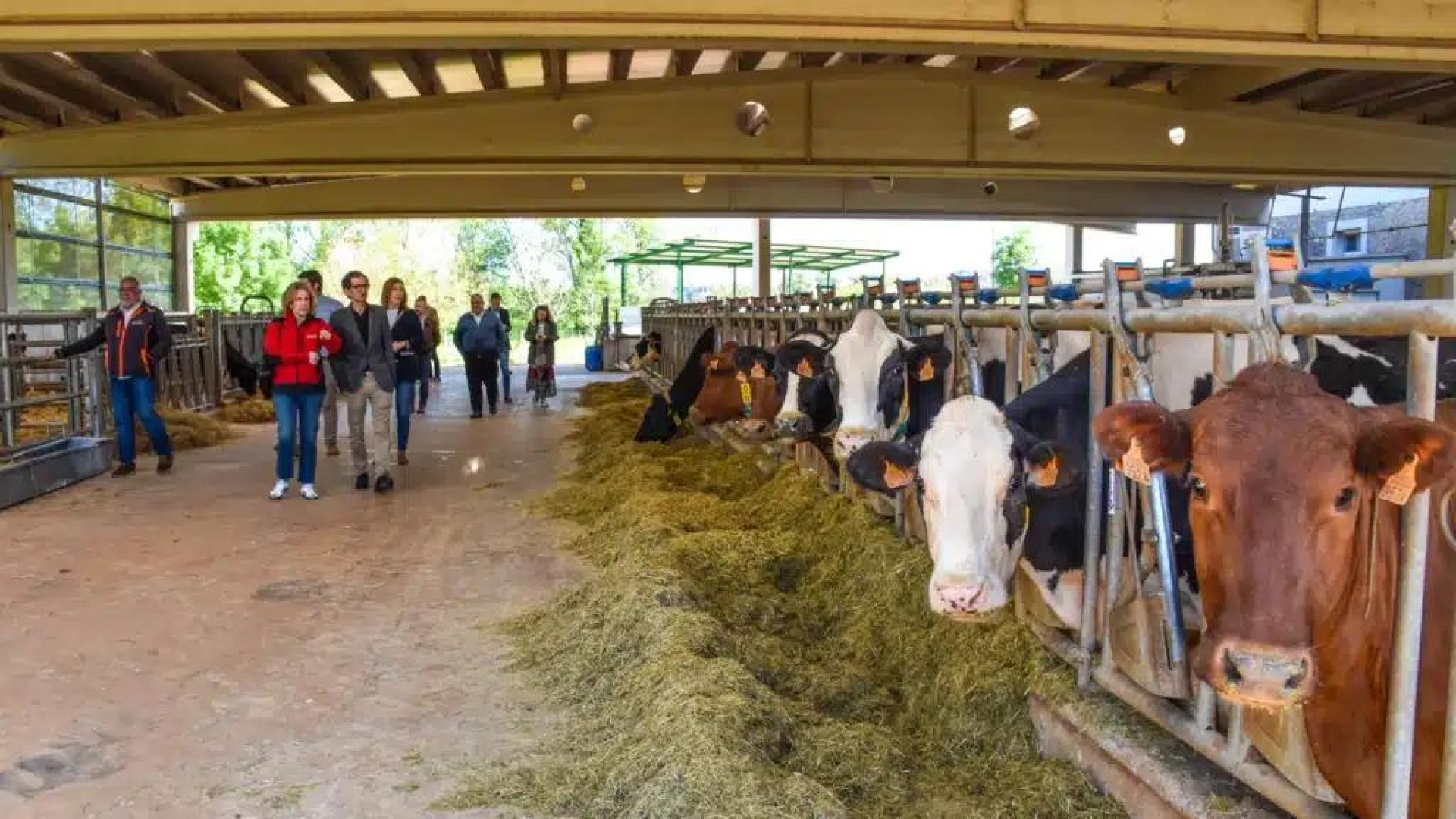 Lorca conecta a sus jóvenes con el campo para asegurar el futuro del sector primario