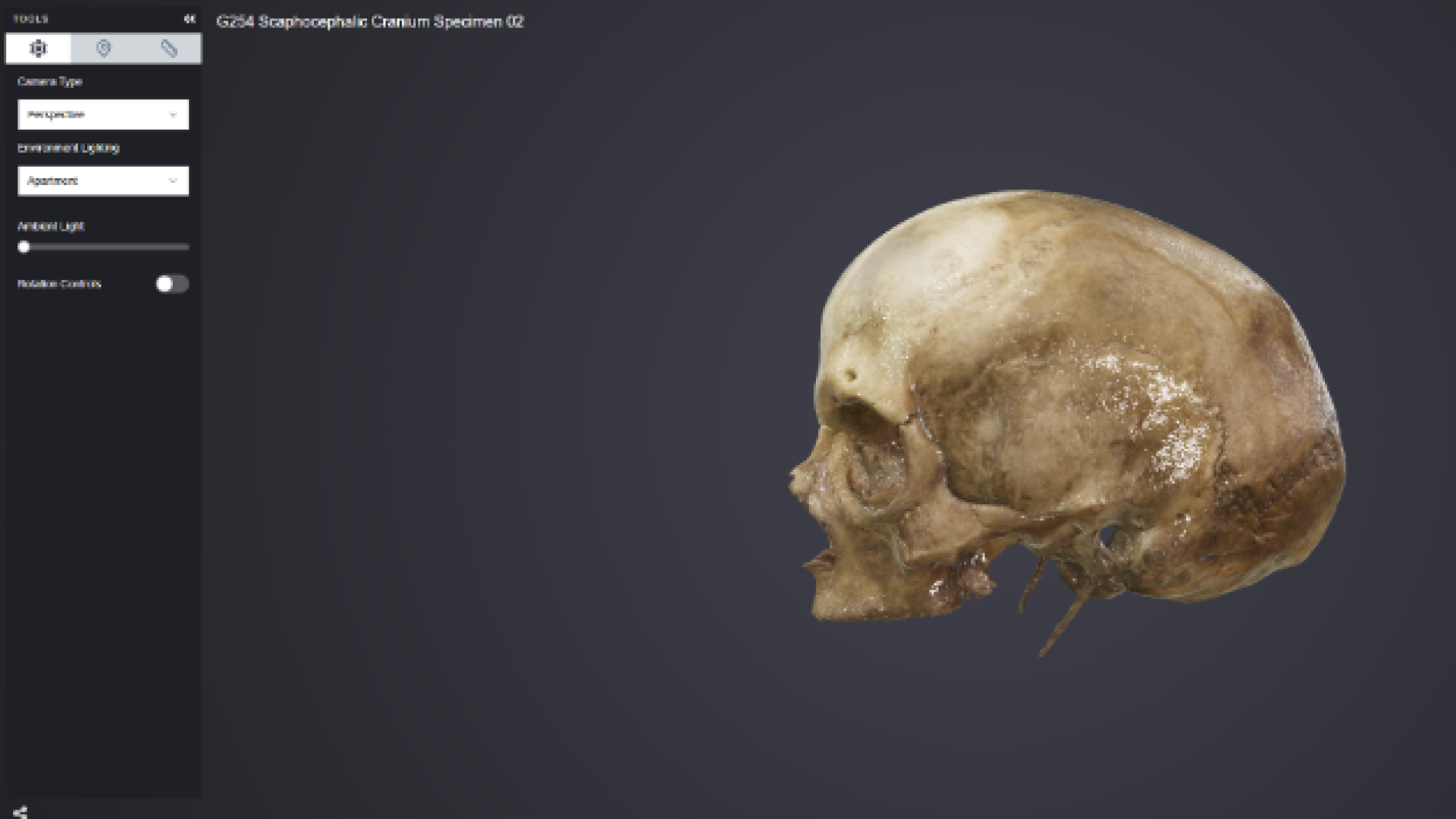 Así es VOSTEO3D, el proyecto que digitaliza colecciones óseas en 3D para preservar el patrimonio