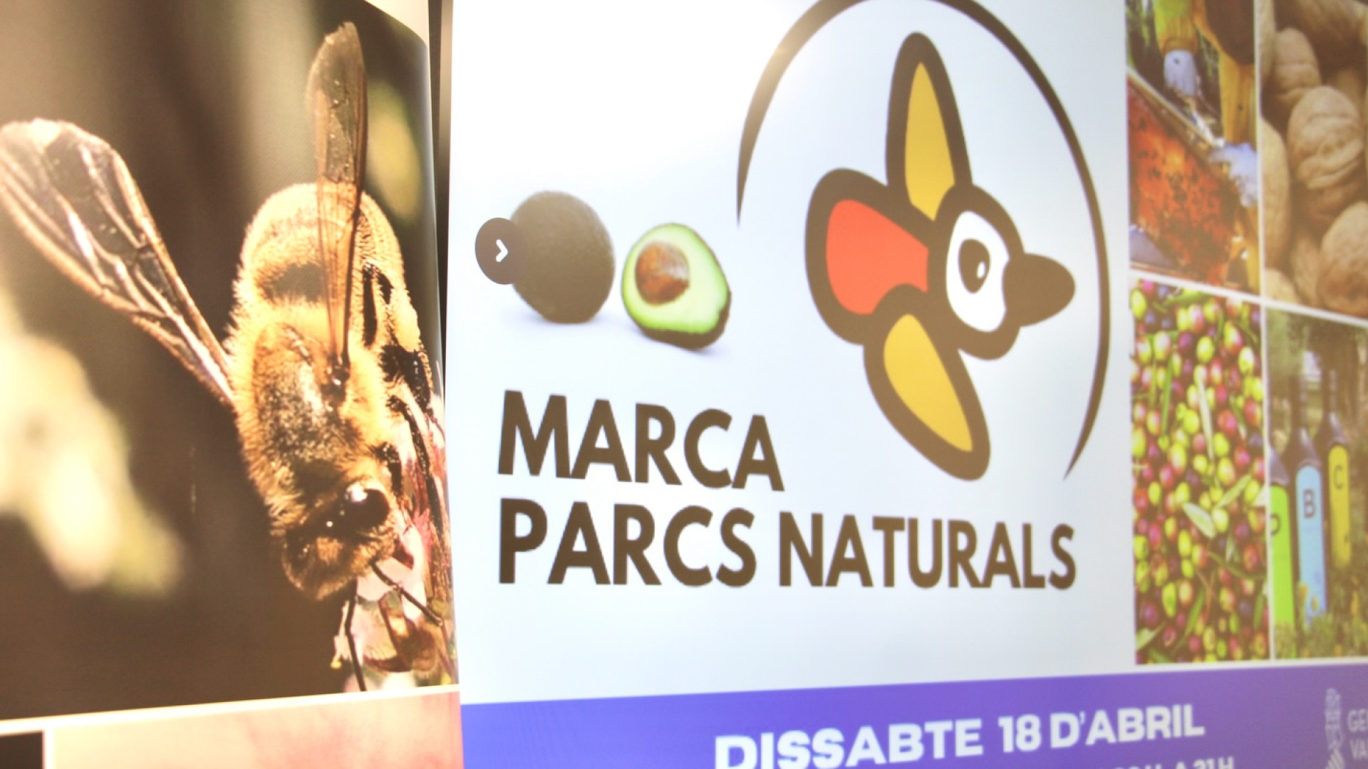 Castellón exhibe los tesoros gastronómicos de sus siete parques naturales