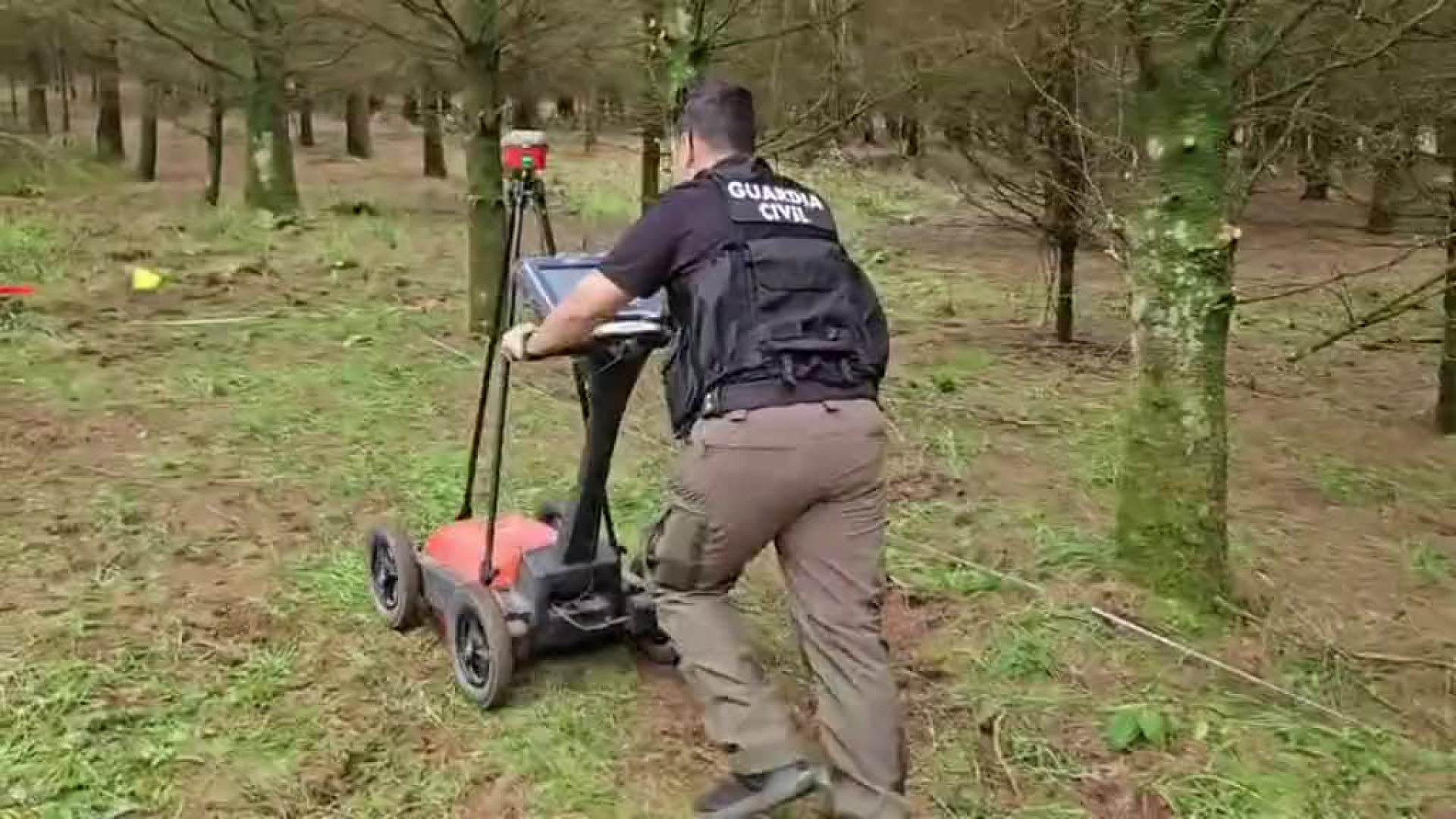 La Guardia Civil de Lugo custodia el pinar donde se buscan los restos de Enrique Bolívar en Abadín a la espera de resultados del laboratorio