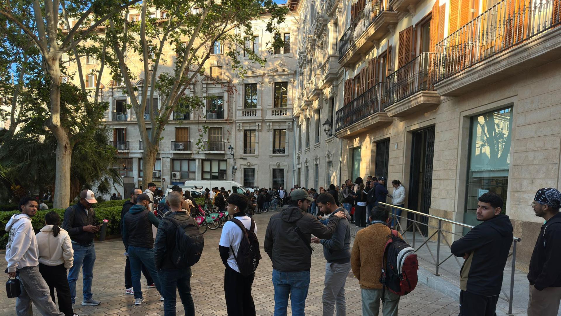 Las colas de la esperanza: cientos de migrantes aguardan en Palma la nueva regularización