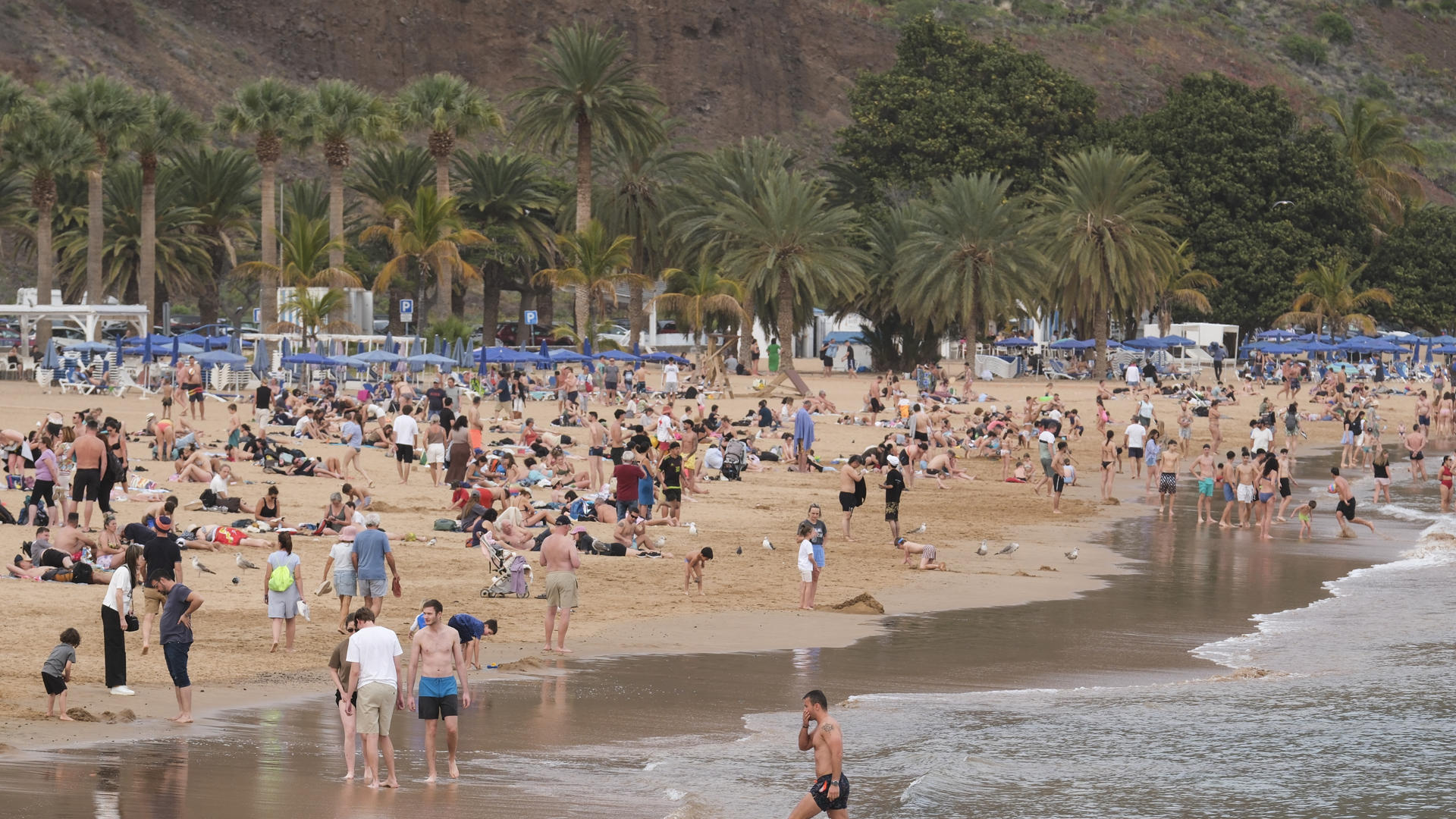 Jorge Olcina, meteorólogo: 