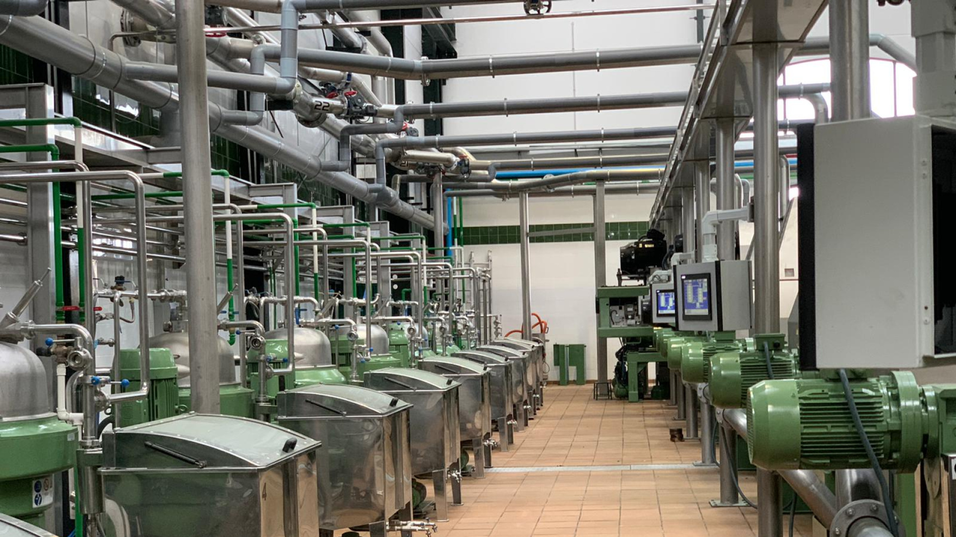 El aceite de oliva cierra una campaña de dos caras: menos producción pero precios estables