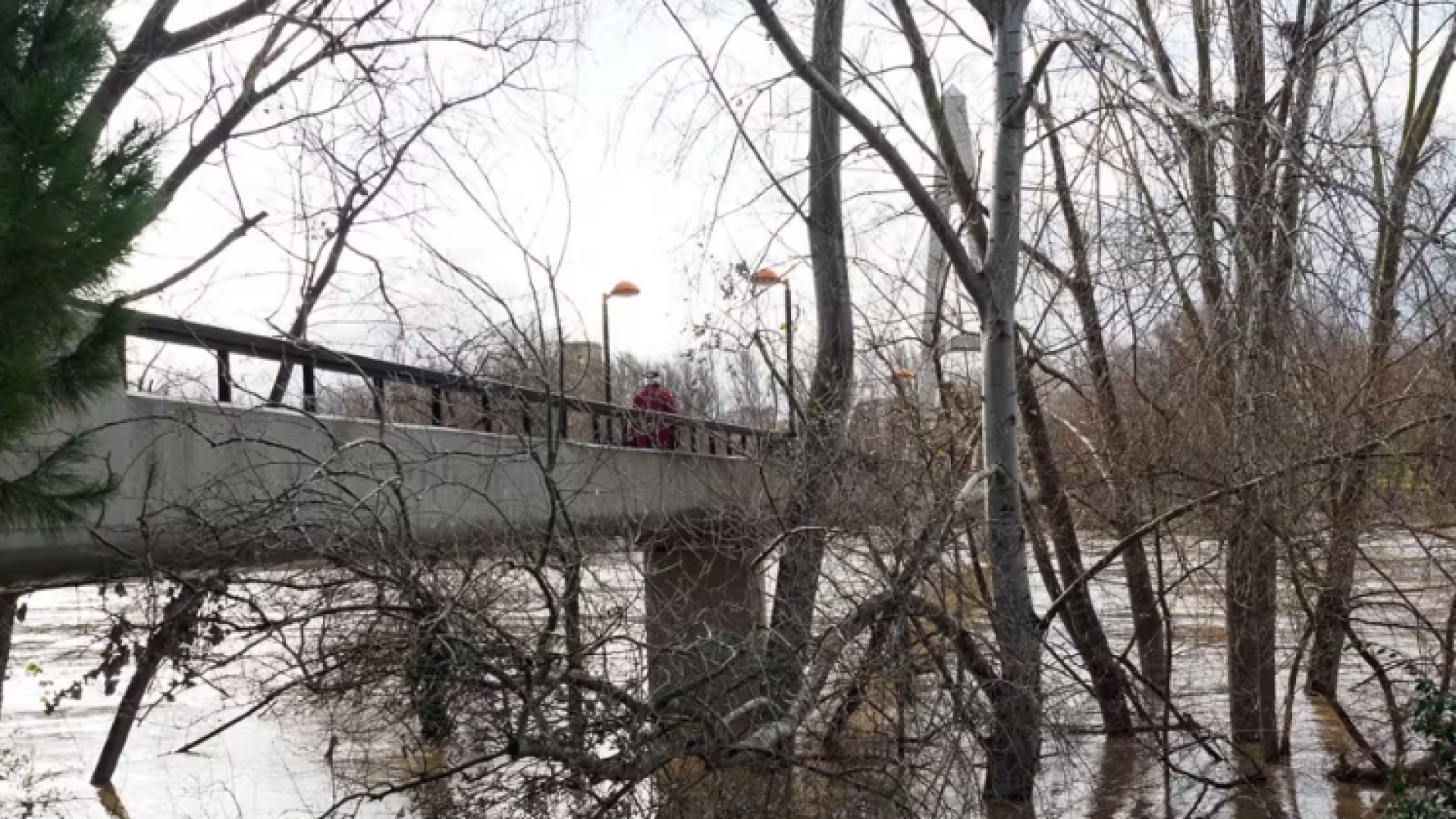 Logroño instala cámaras con inteligencia artificial para reforzar su seguridad: Seis cámaras en la Pasarela del Ebro, cortada al tráfico peatonal