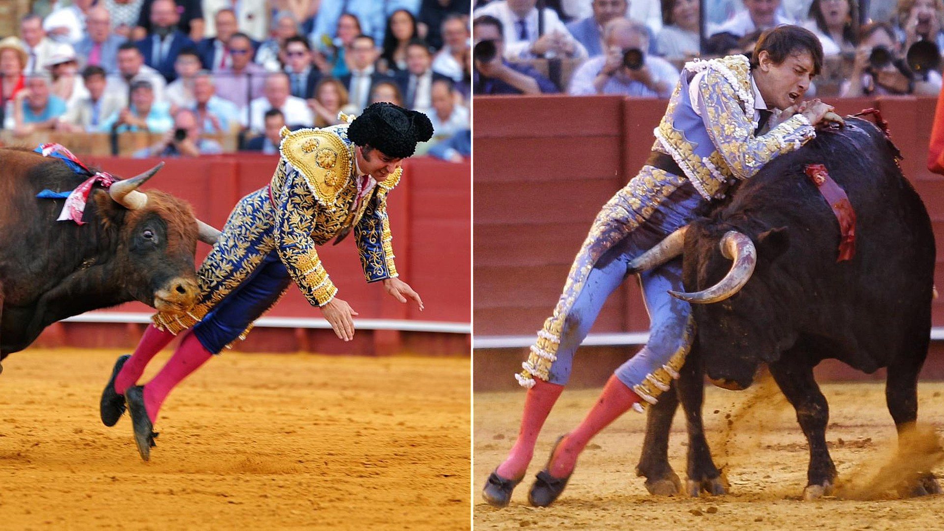 La encrucijada taurina en Valladolid tras las cogidas a Morante y Roca Rey: ¿Qué pasará con la corrida de toros de la Feria de San Pedro Regalado?