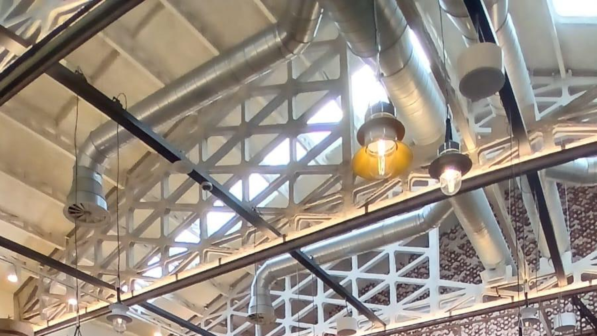 Nueve tractores clásicos llegan a Santiago tras una semana de Camino: 