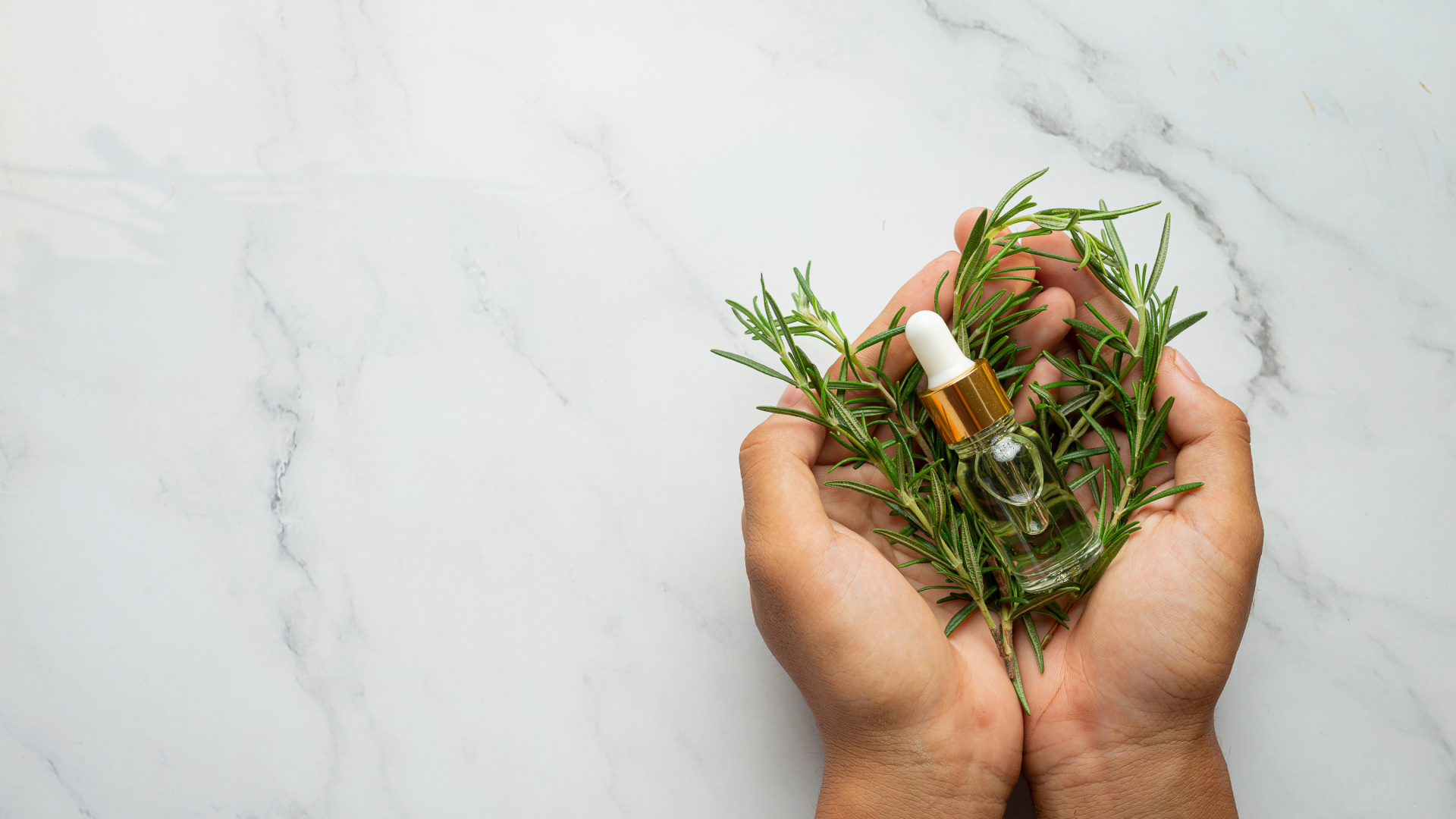 La verdad sobre los medicamentos a base de plantas: una experta resuelve todas las dudas