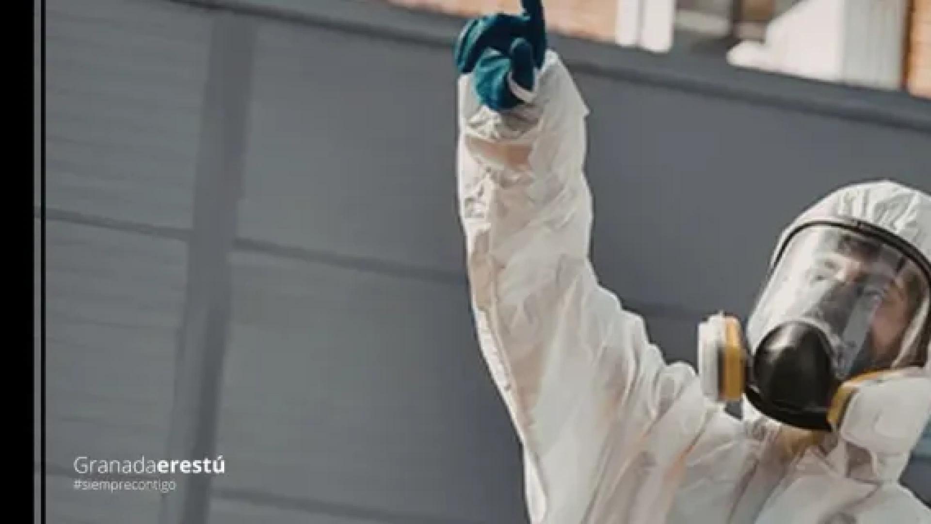 Plagas en comunidades de vecinos: cómo prevenirlas y evitar costes elevados