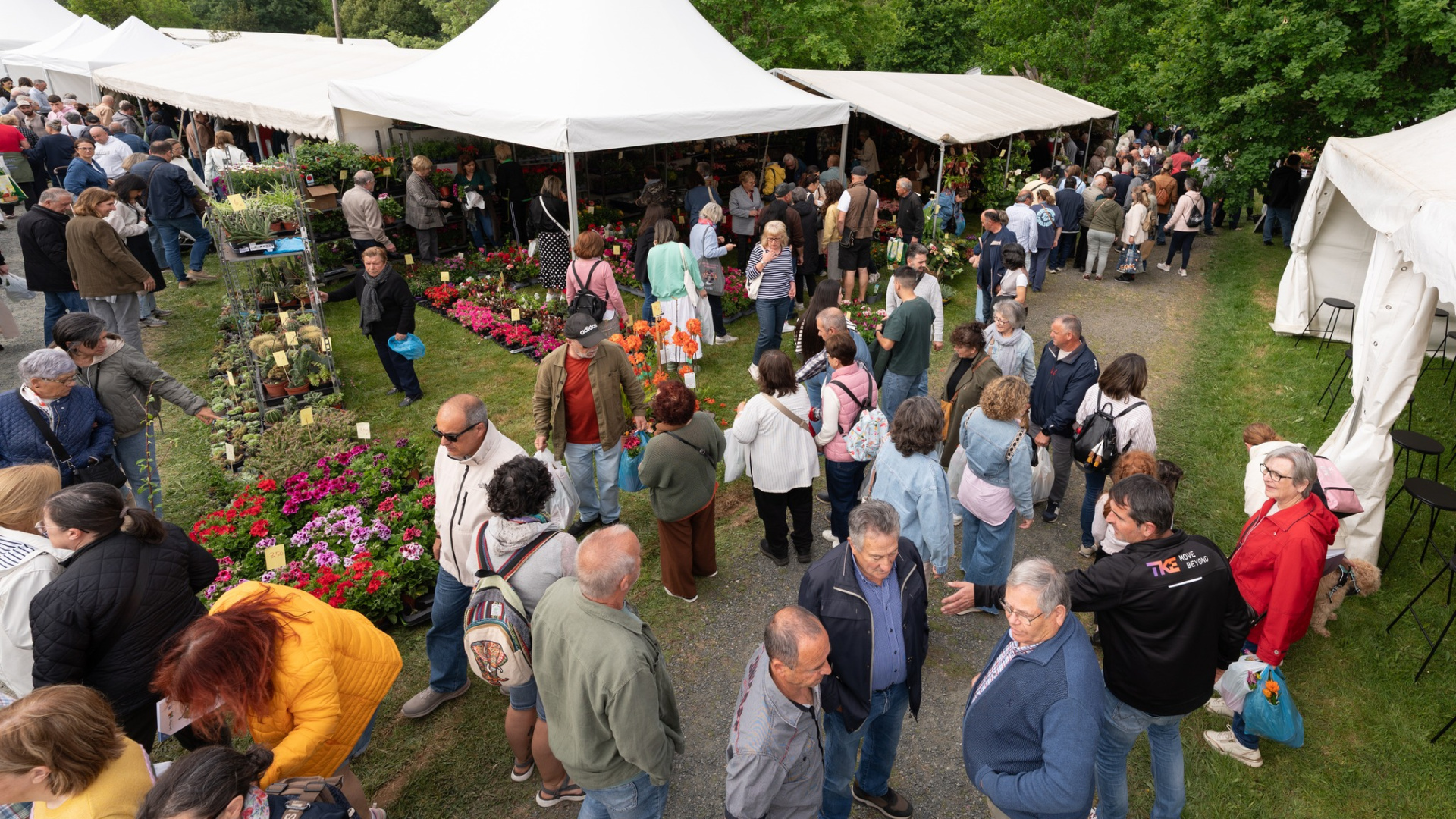 La Feria de la Plantación de San Sadurniño bate todos los récords y colapsa los accesos en su edición más multitudinaria