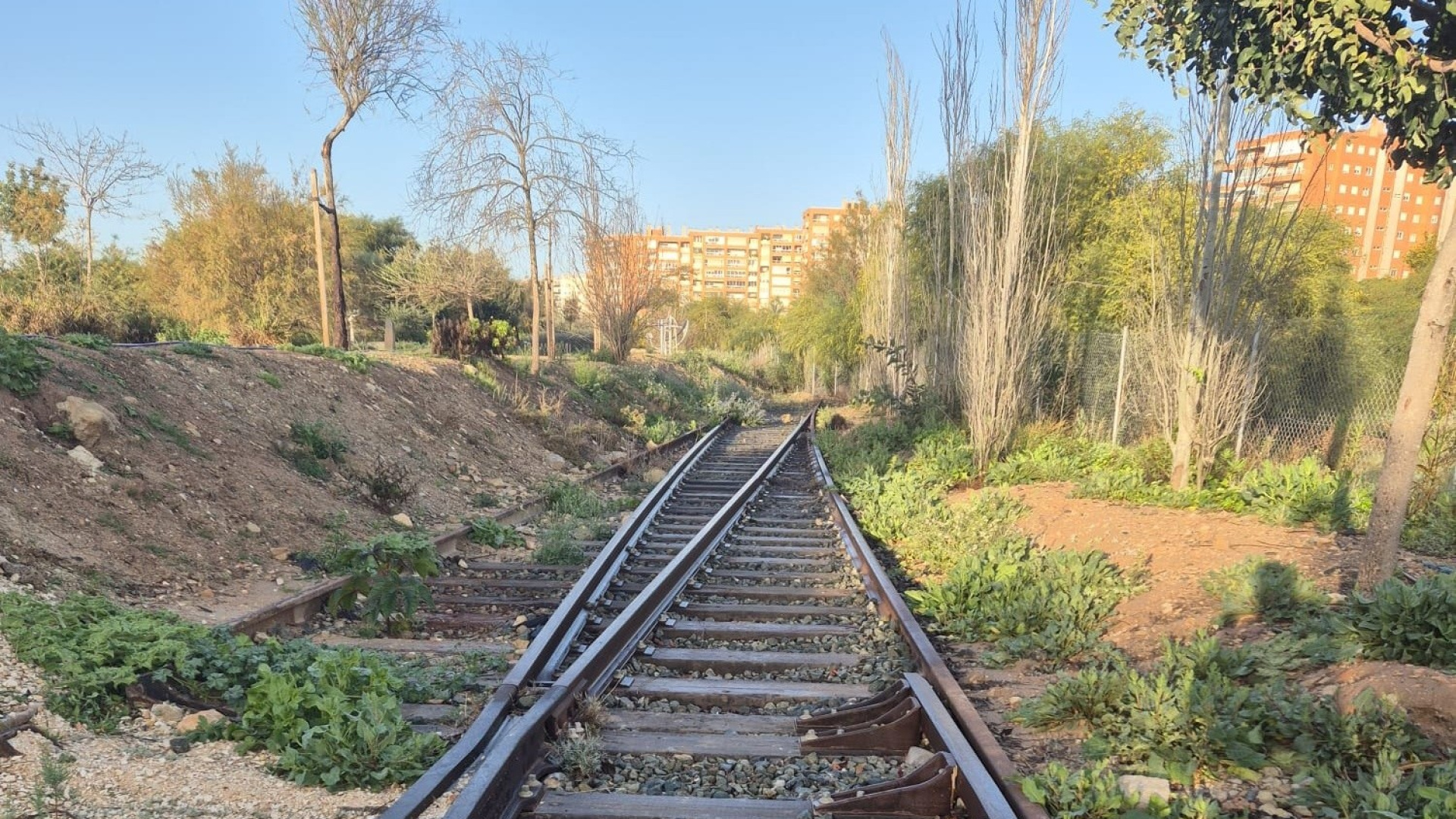 El abandono que indigna a todo un barrio en Alicante: los vecinos dicen basta tras 16 años de espera