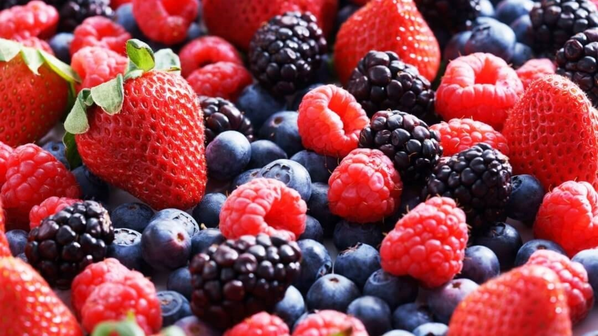 La campaña de los frutos rojos de Huelva resiste a un año de altibajos y precios a la baja